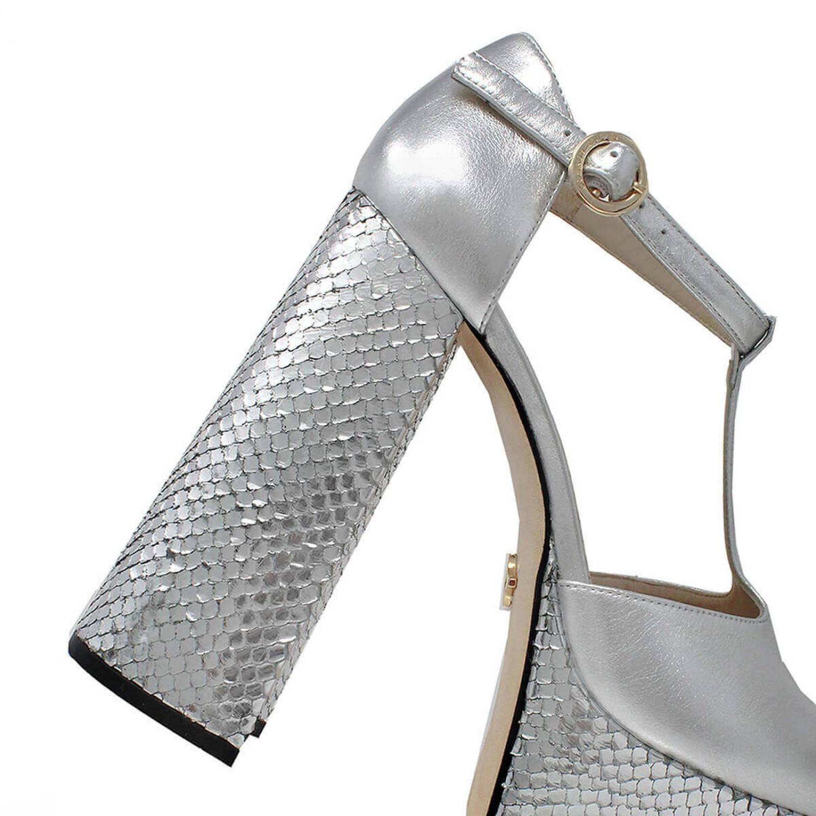 MON 150 - Plata Regina Romero Zapato Plataforma Tacon Alto para Dama en Piel 