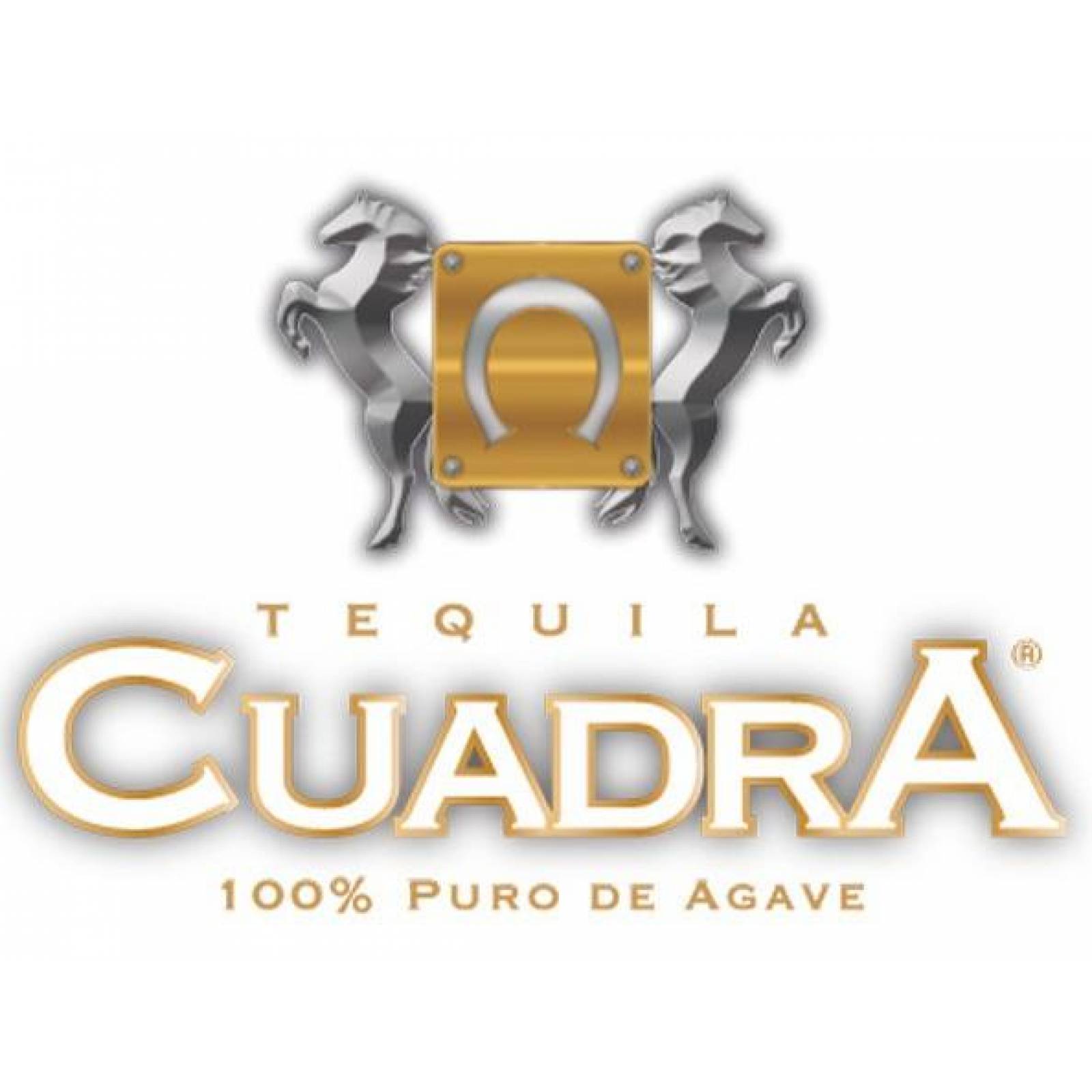 Tequila Cuadra Blanco 100% Agave 1 L 