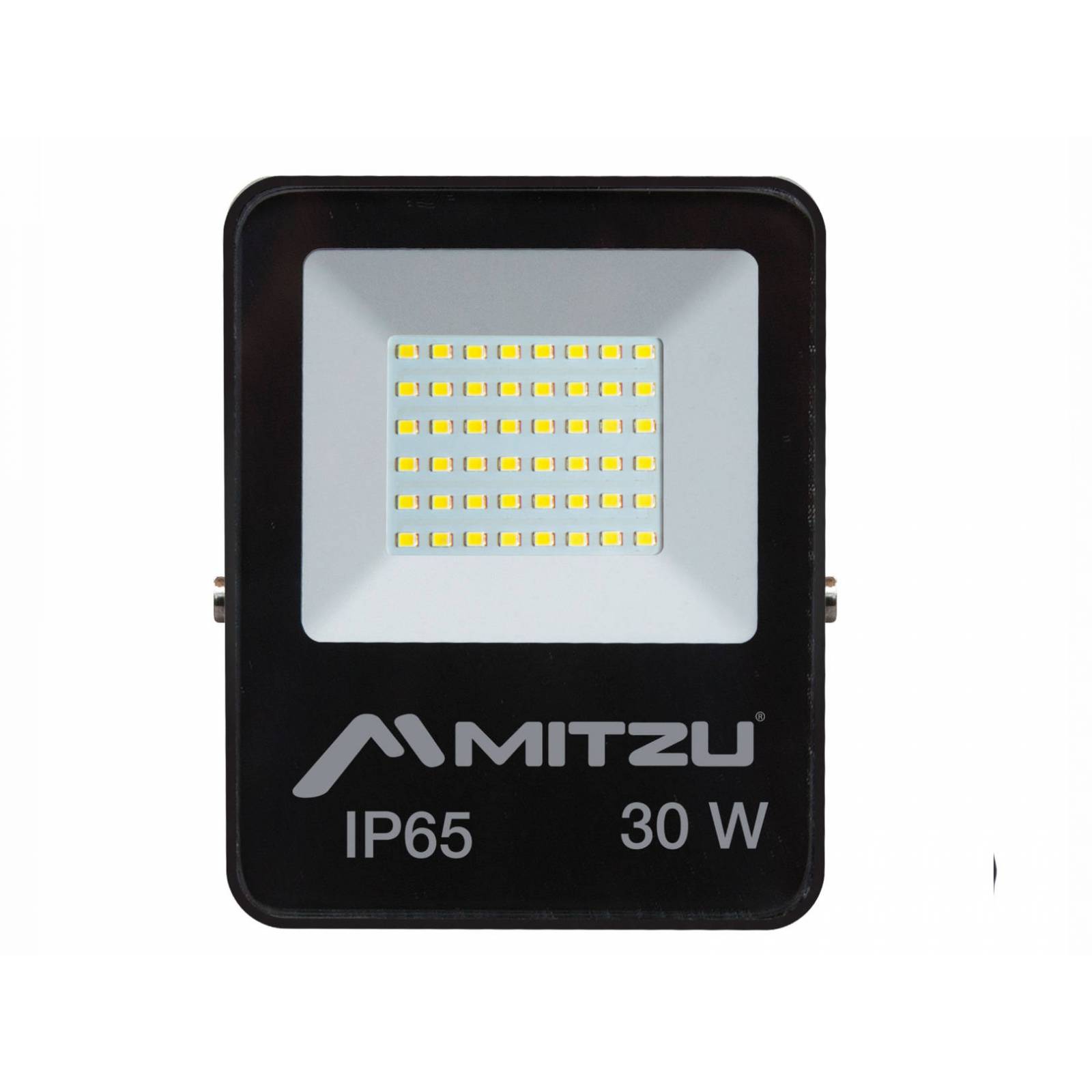 Reflector LED 30 W para exteriores