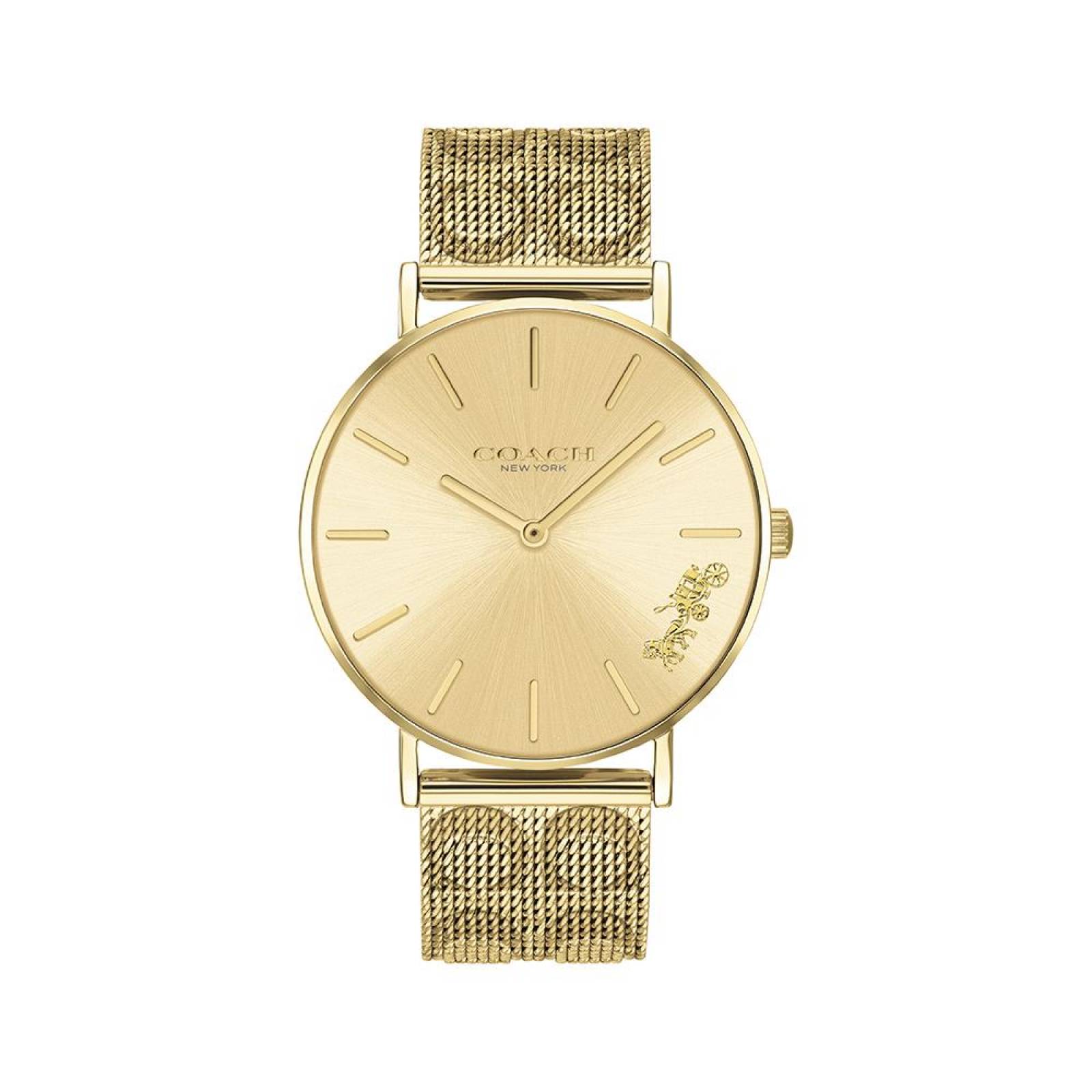 Reloj Coach Dama Perry Dorado 14503342 - S007 Reloj Coach Dama Perry Dorado 14503342 - S007