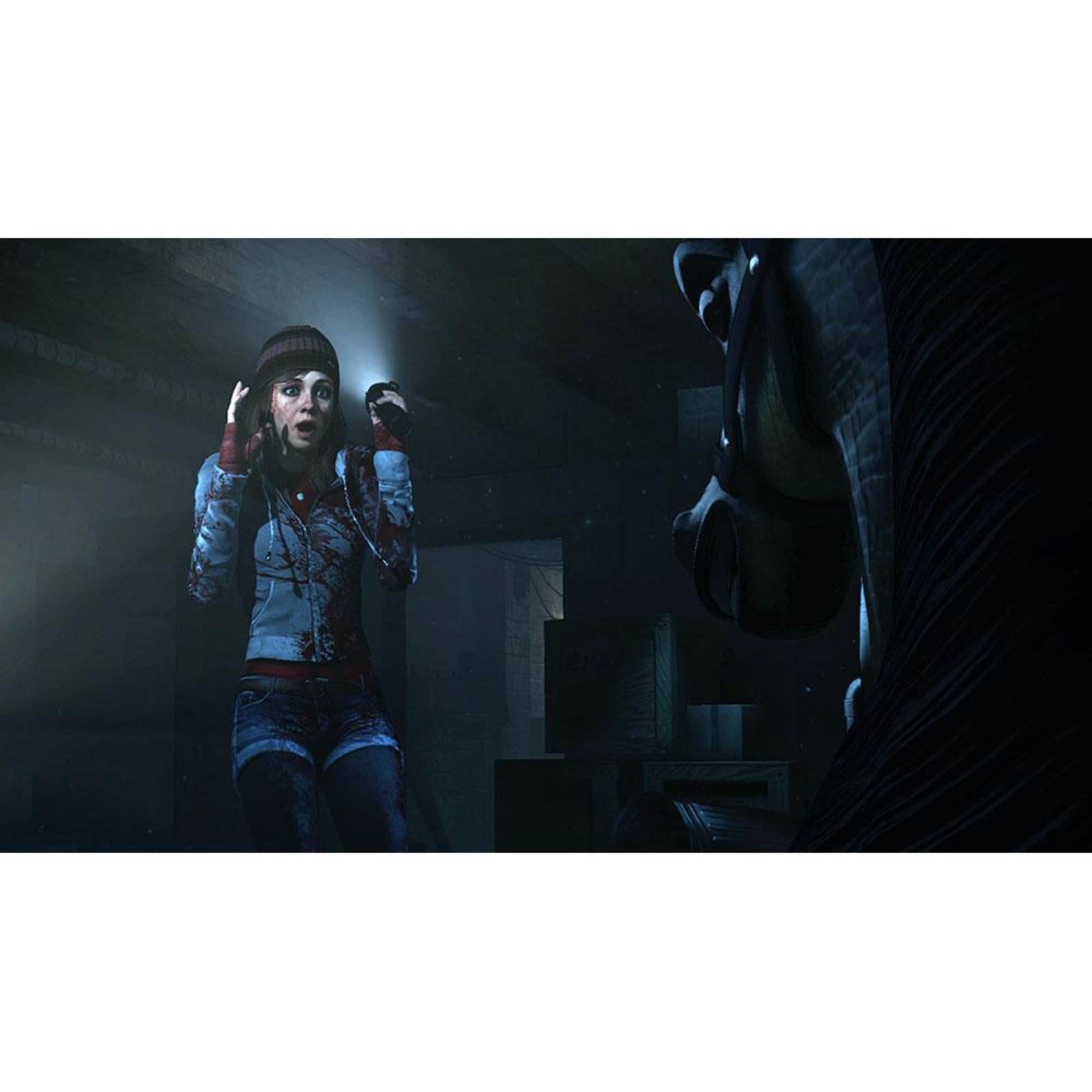 Until Dawn Videojuego Ps4 - S010 