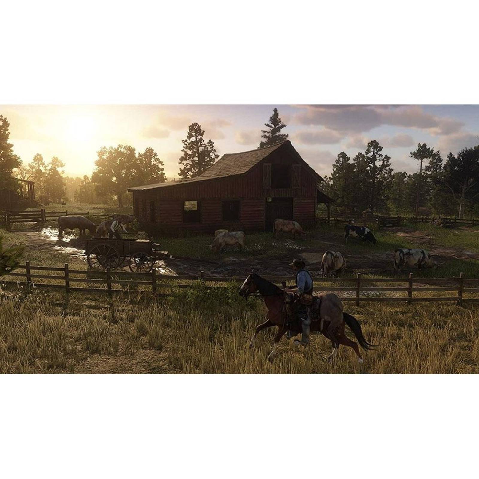 Red Dead Redemption 2 Ps4 - S010 