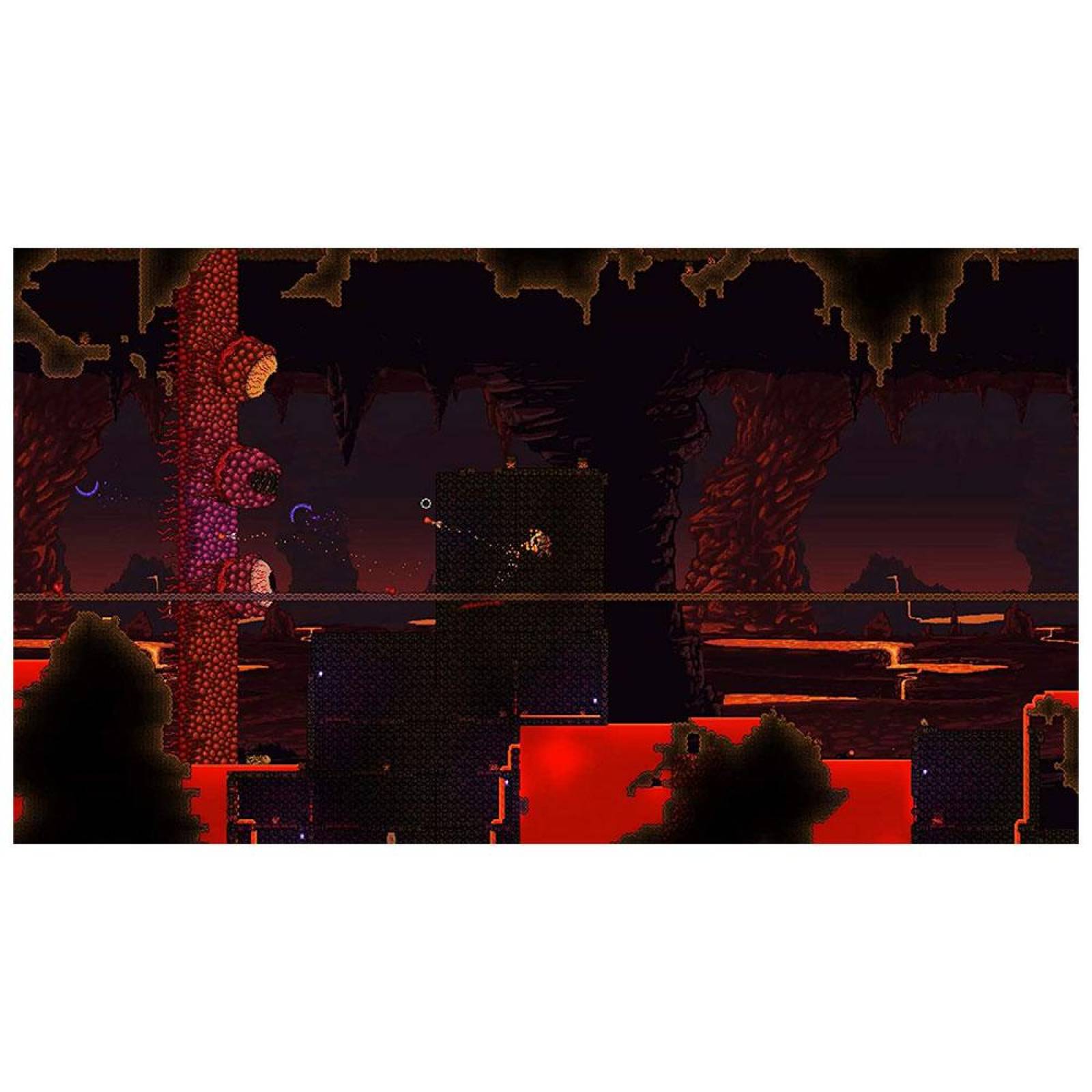Terraria Videojuego Nintendo Switch - S010 