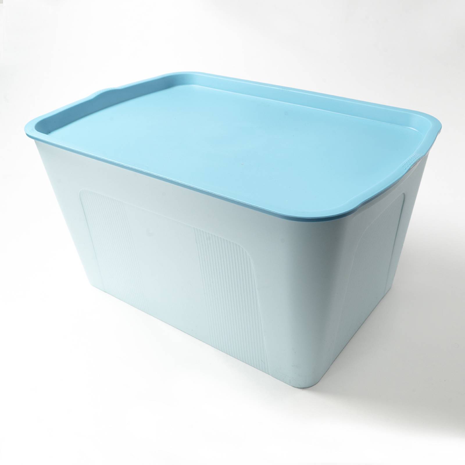 Caja de almacenamiento con tapa Azul Grande