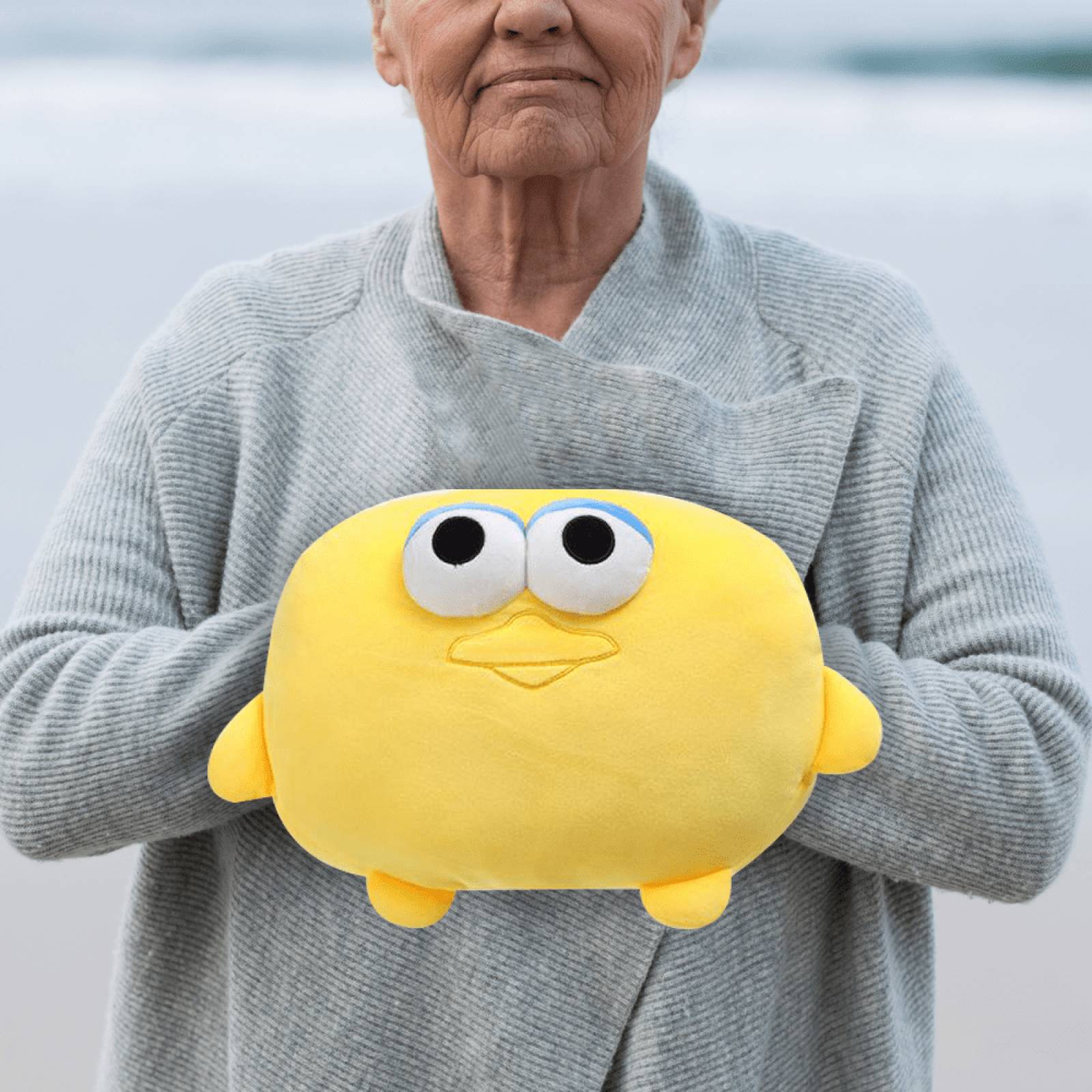 Miniso Cojín Sesame Street Big Bird Con Calentador De Manos