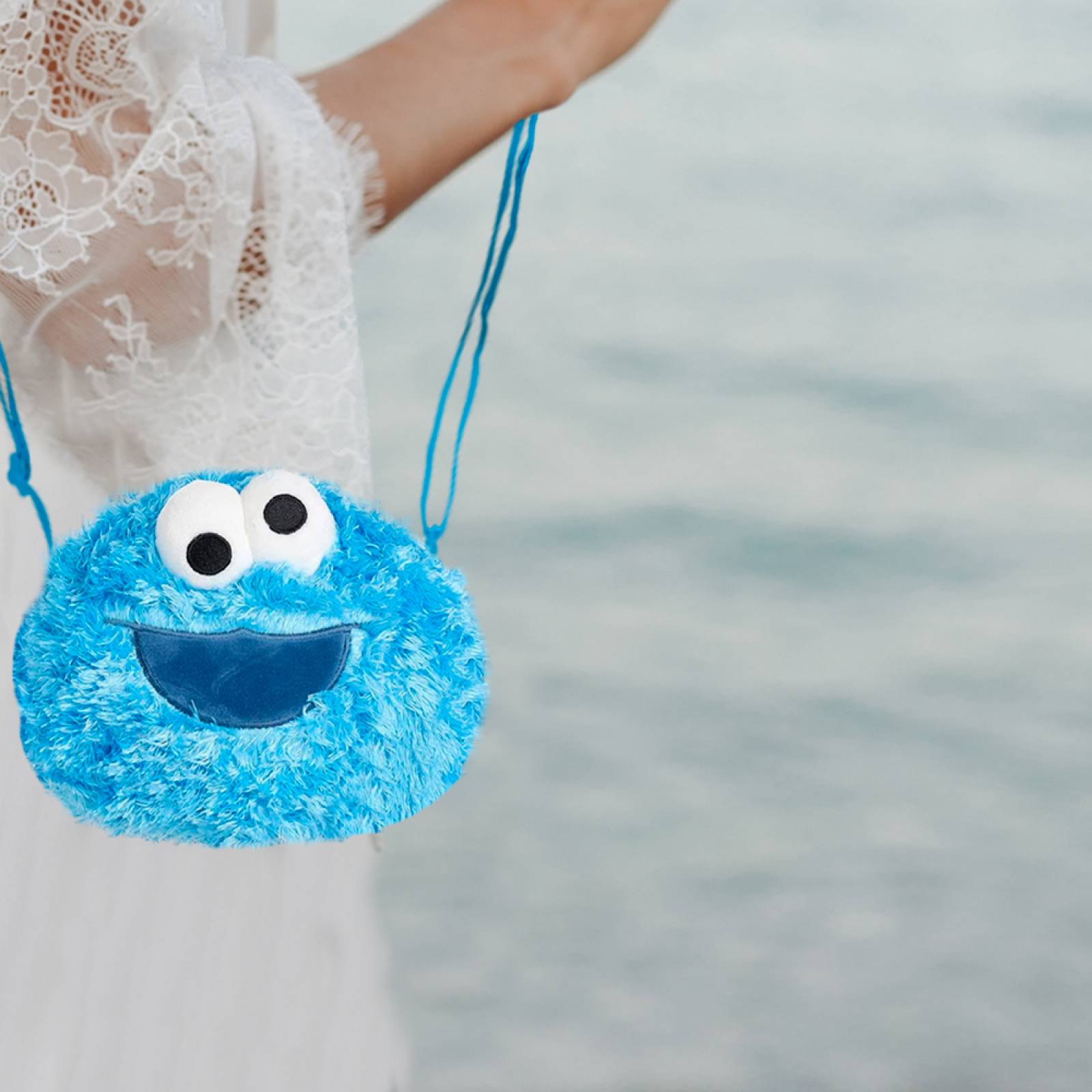 Miniso Bolsa Crossbody Sesame Street Come Galletas Rostro De Peluche