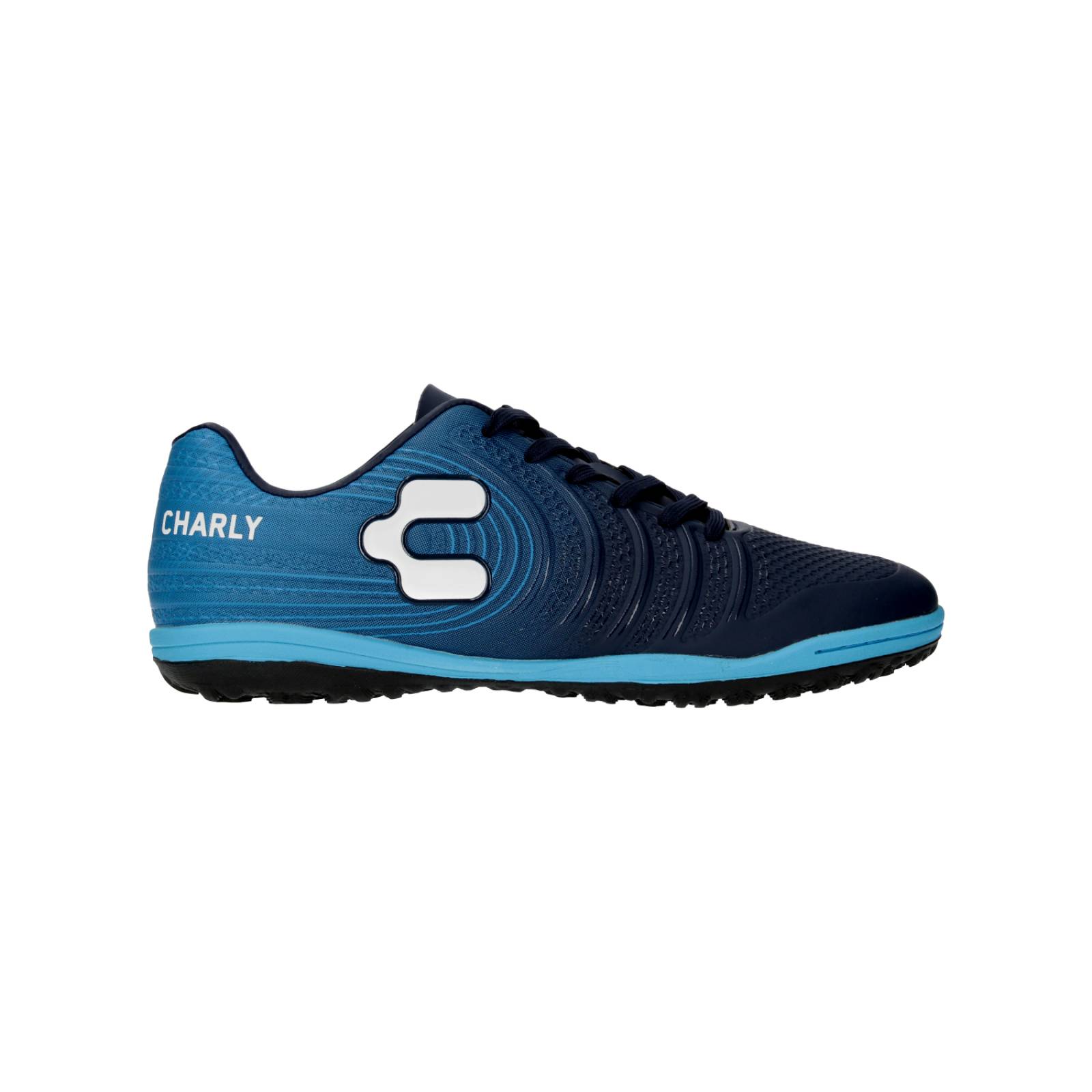 Tenis Para Hombre Charly Hot Sale, UP TO 65% OFF | www.bravoplaya.com