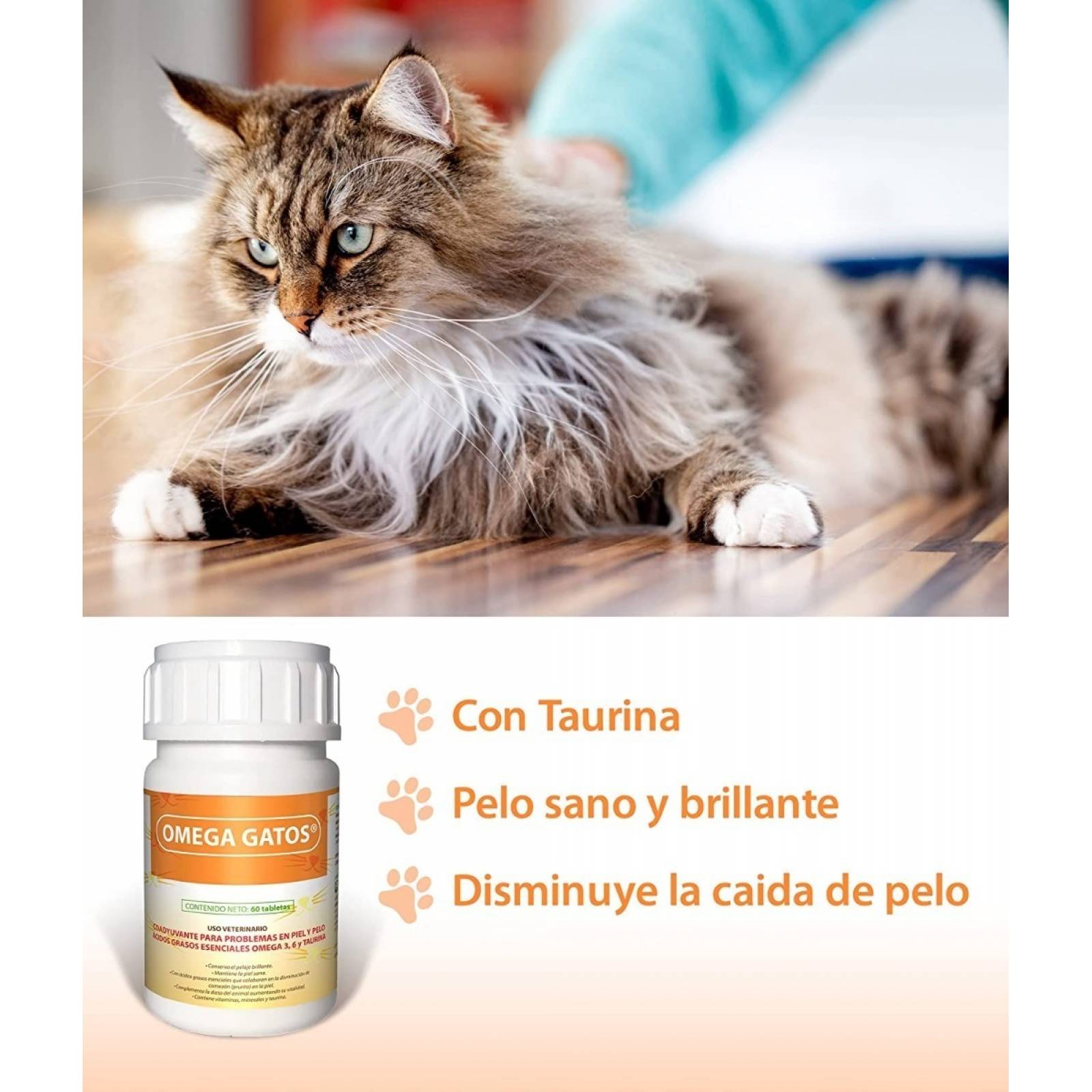 Ruiland Omega Gatos Para Piel Y Pelo Con Taurina 60 Tabs