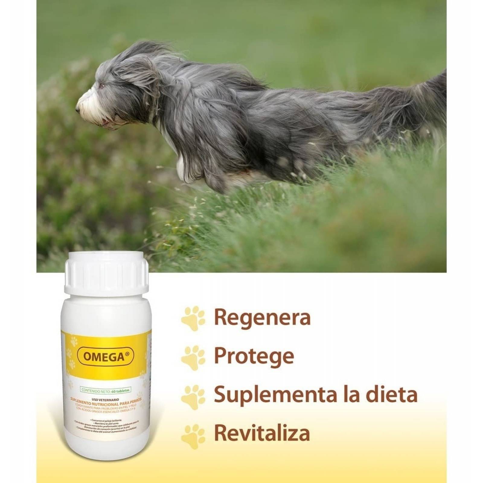 Ruiland Omega 3 Y 6 Para Perros Piel Y Pelo Brillante 60tabs