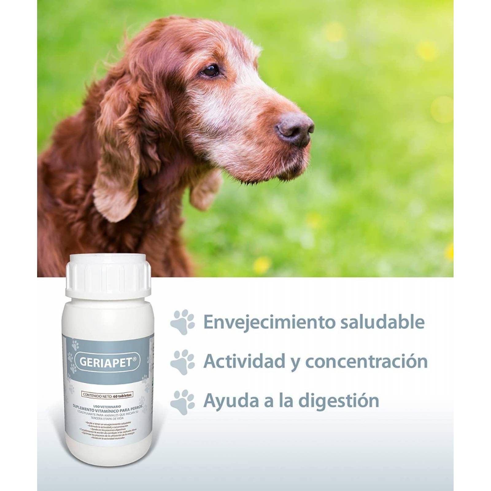 Ruiland Geriapet Vitaminas Para Perros Senior +7años 60 Tabs