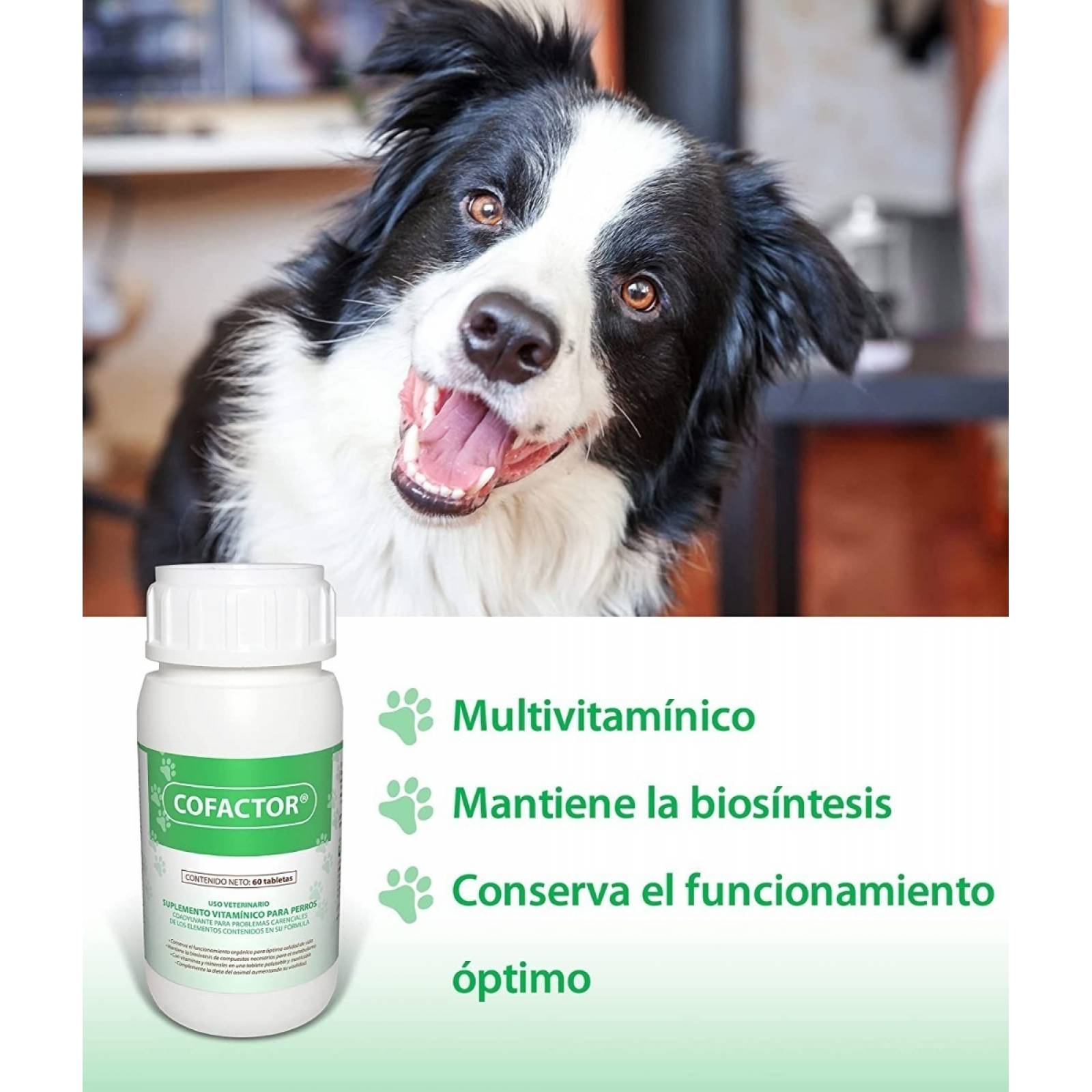 Ruiland Cofactor Vitaminas Para Perro Masticable Zinc Hierro