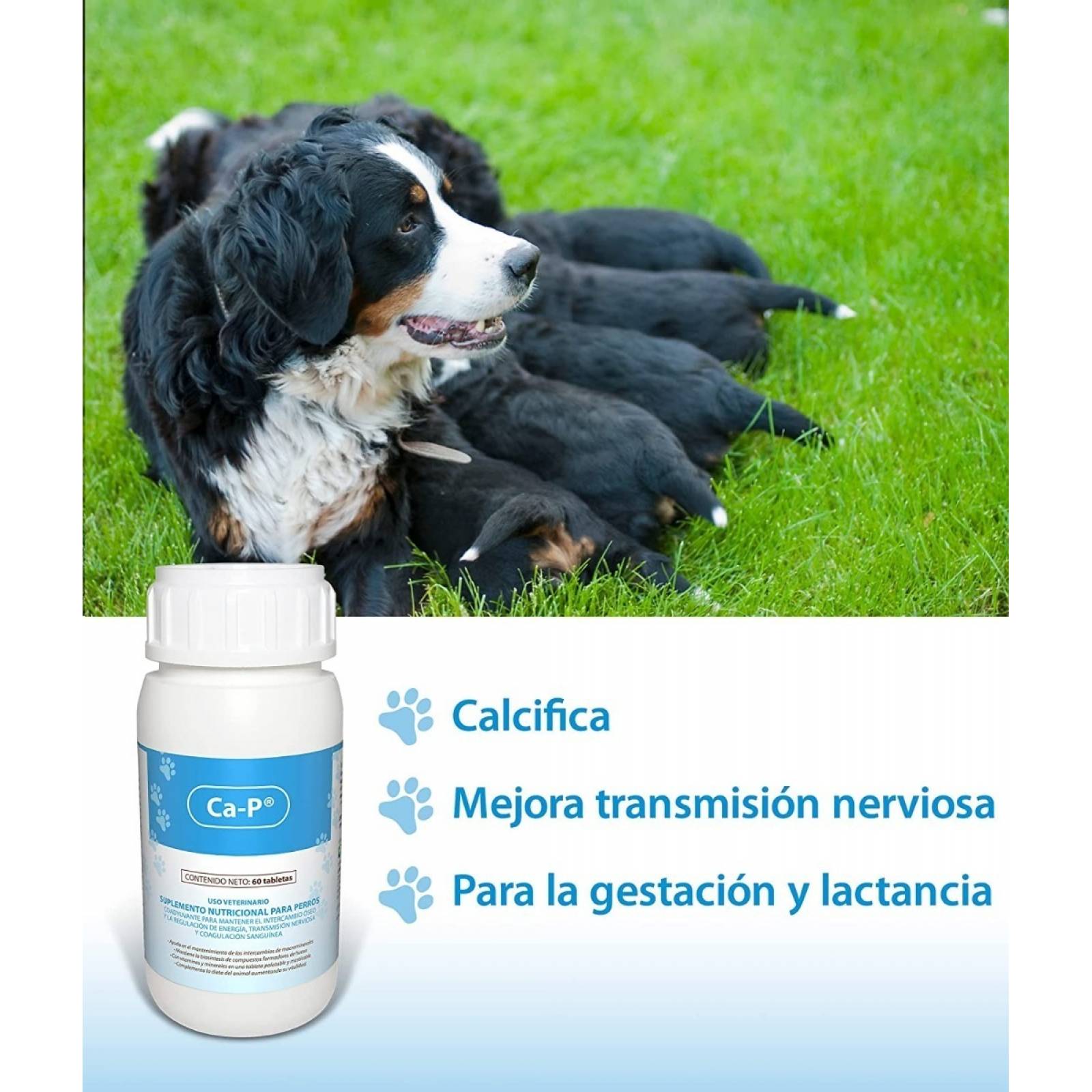Ruiland Ca p Vitaminas Para Perros Masticable Calcio Omega 6