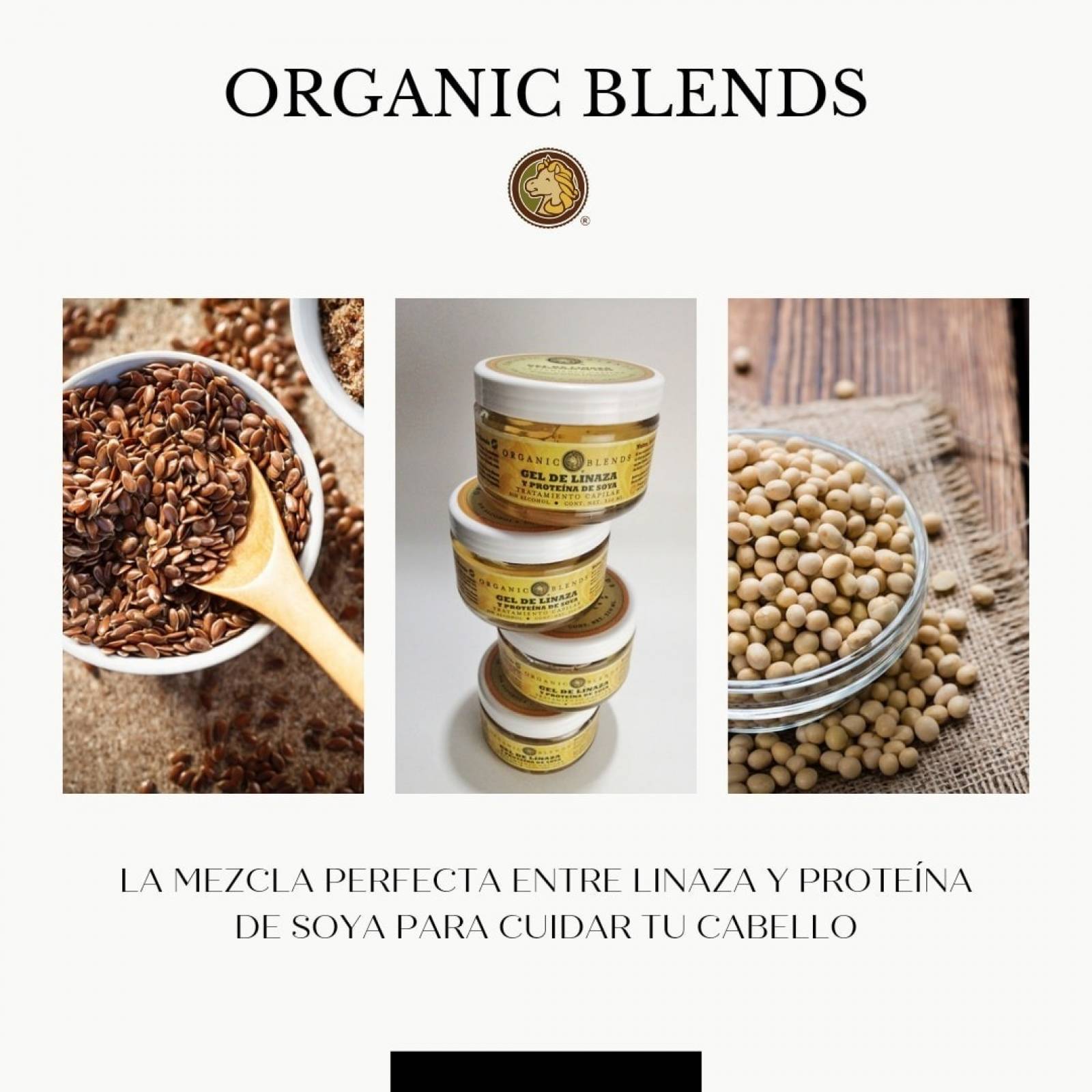 Gel De Linaza Y Proteína De Soya Organic Blends 310 Ml