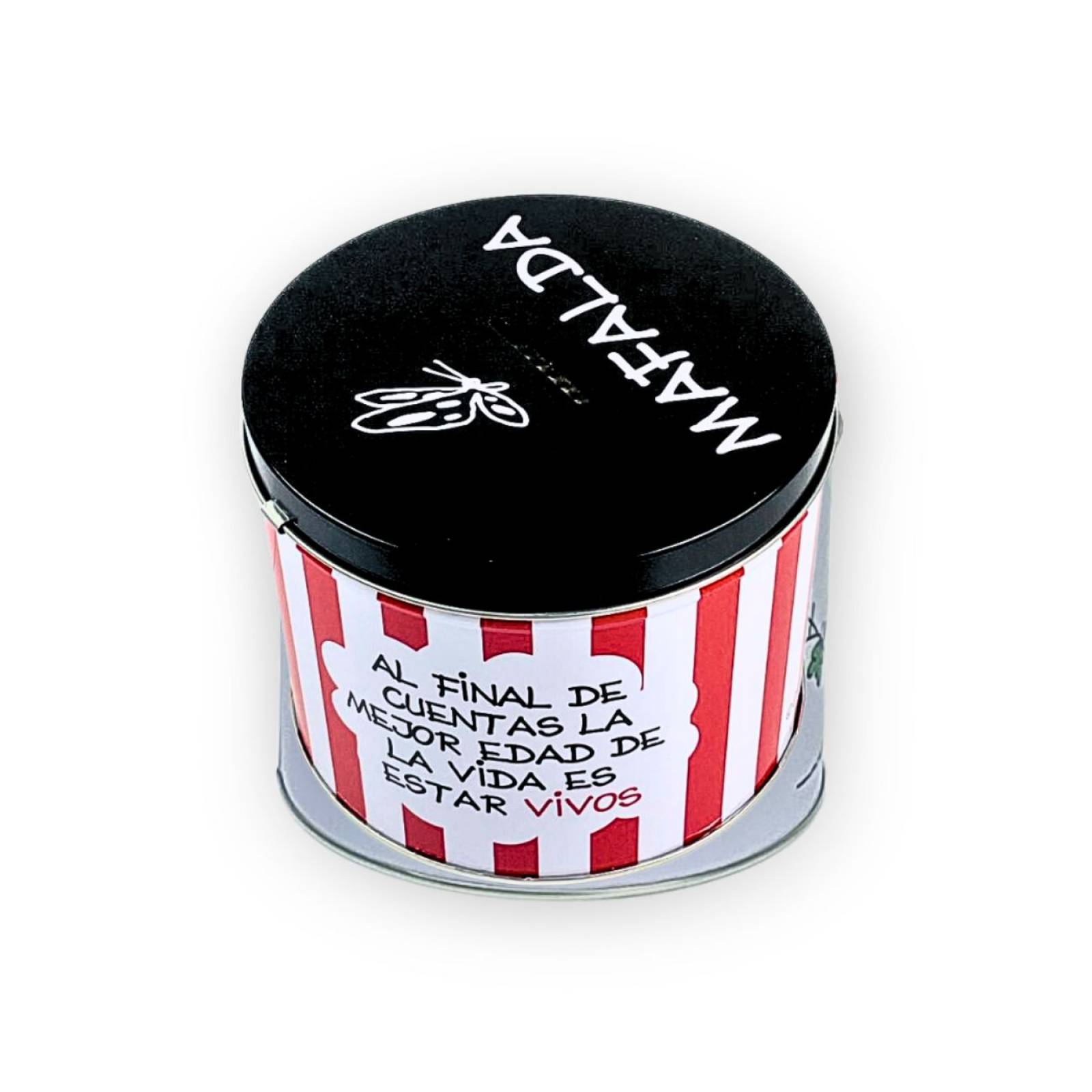 Hogar Alva Maki Alcancía Malfada Metal 