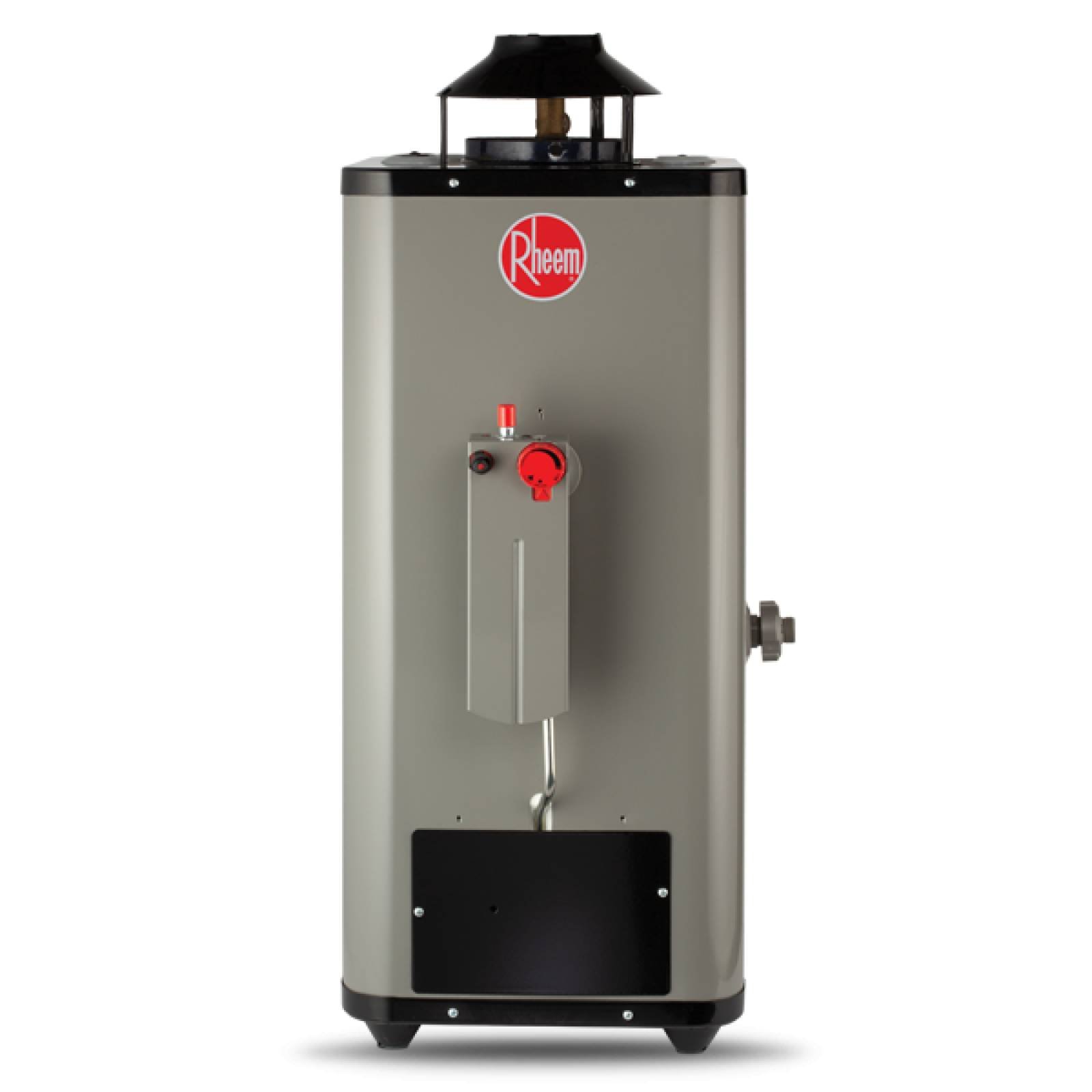 Calentador Agua Rheem Rápida Recup 6L/M Gas Natural +Instalación 