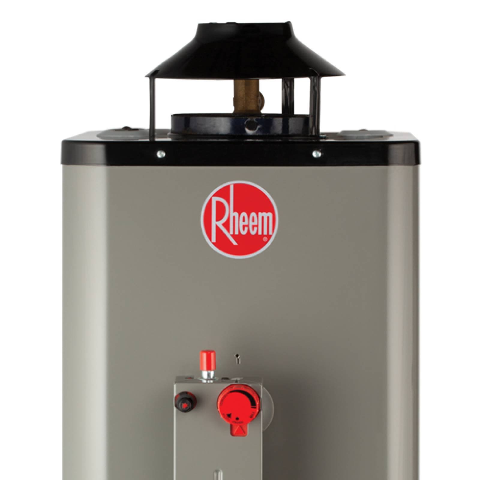 Calentador Agua Rheem Rápida Recup 6L/M Gas Natural +Instalación 