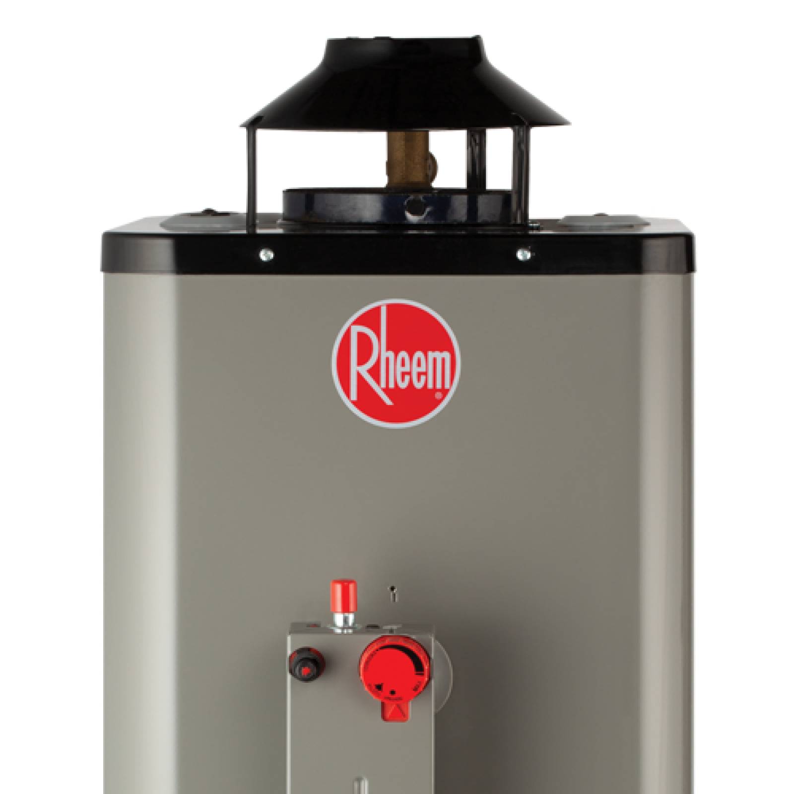 Calentador Agua Rheem Rápida Recup 10L/M Gas LP +Instalación