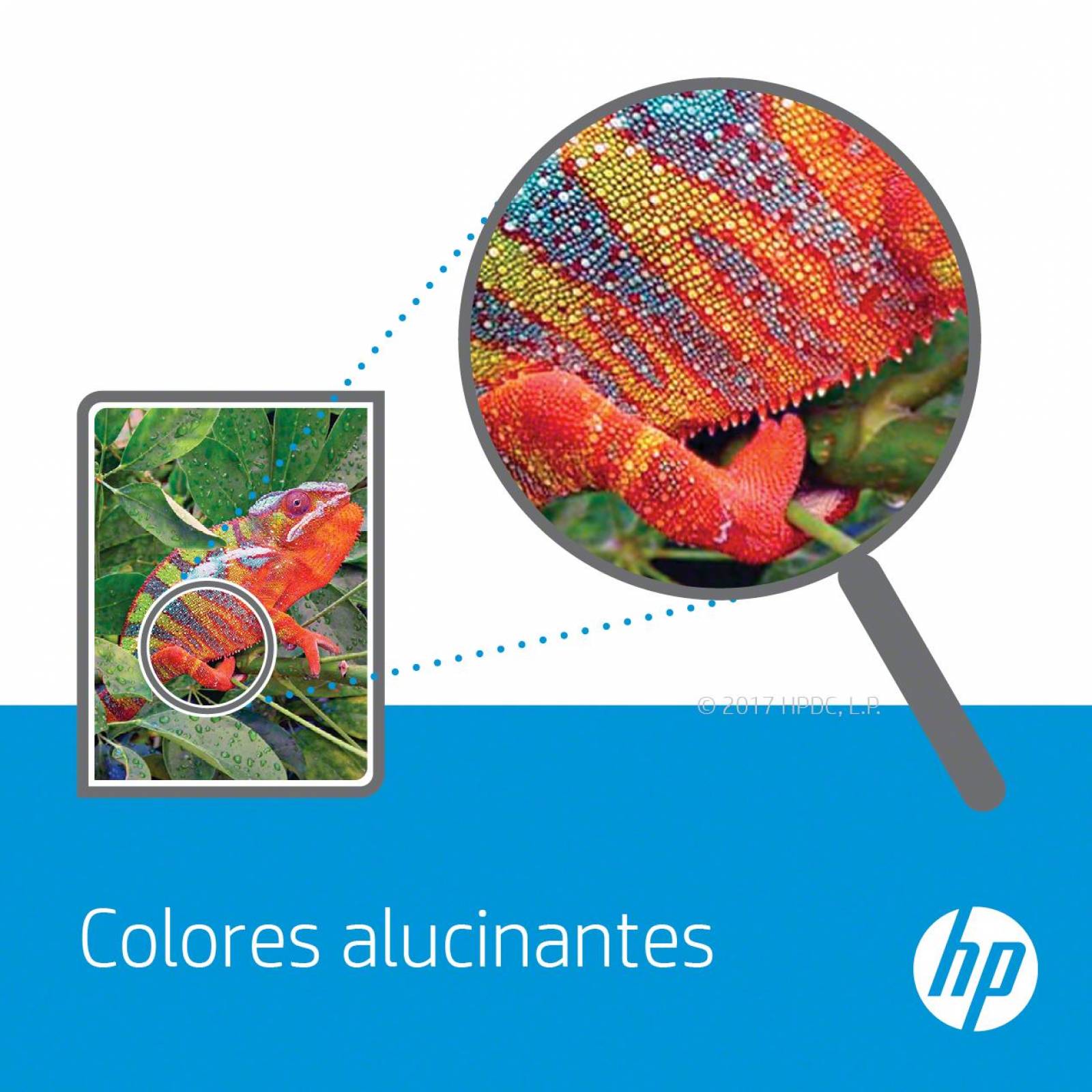 HP 11 cabeza de impresora Inyección de tinta 