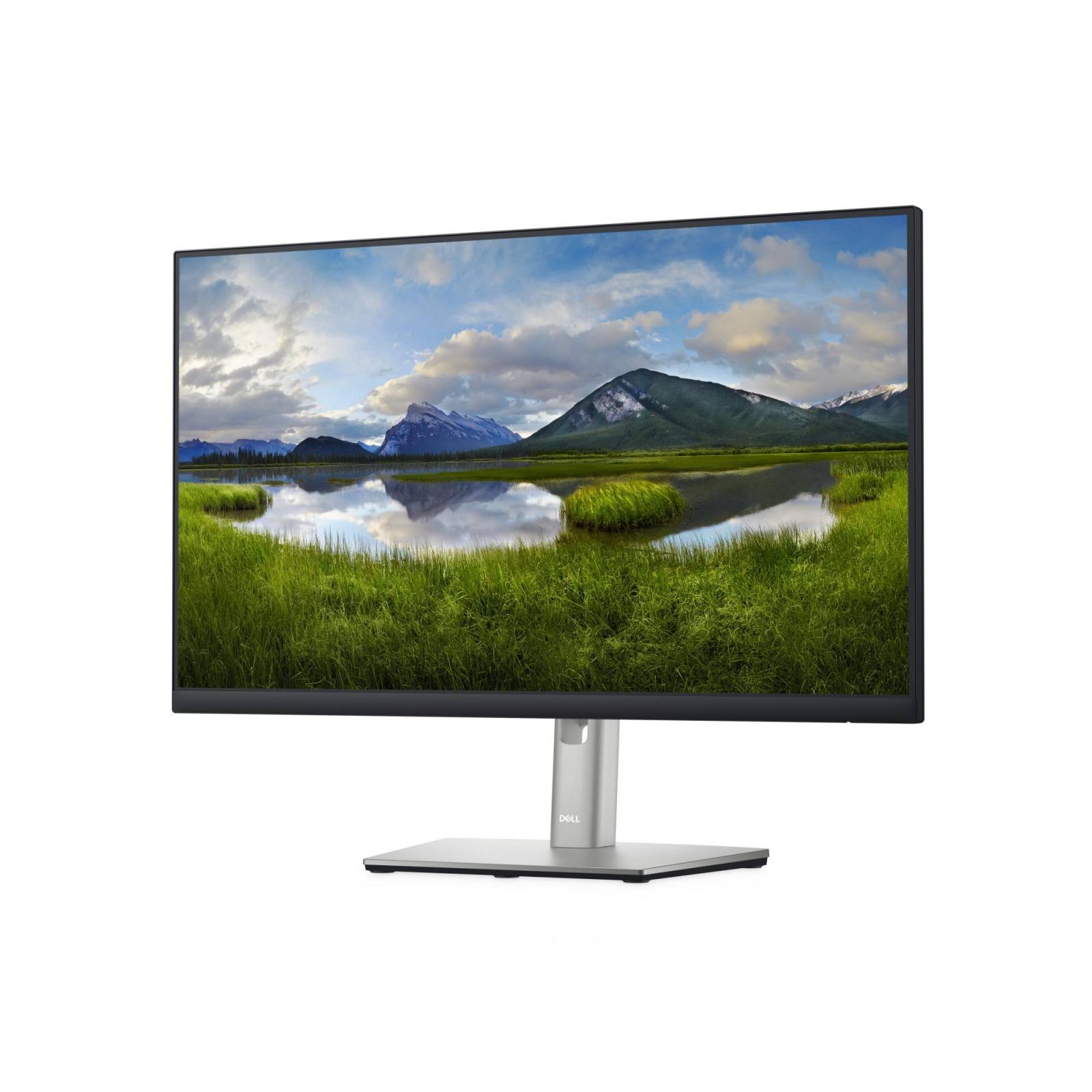 Monitor DELL P2422H, 24 Pulgadas, 1920 X 1080 Pixeles