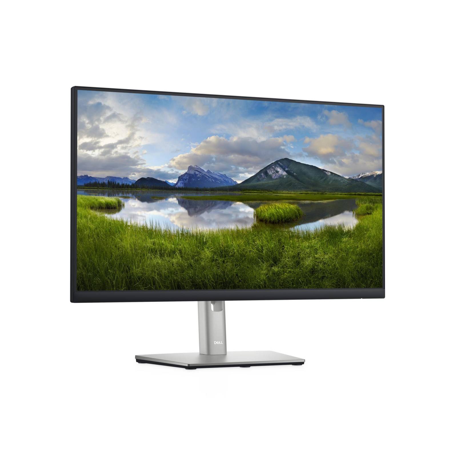 Monitor DELL P2422H, 24 Pulgadas, 1920 X 1080 Pixeles