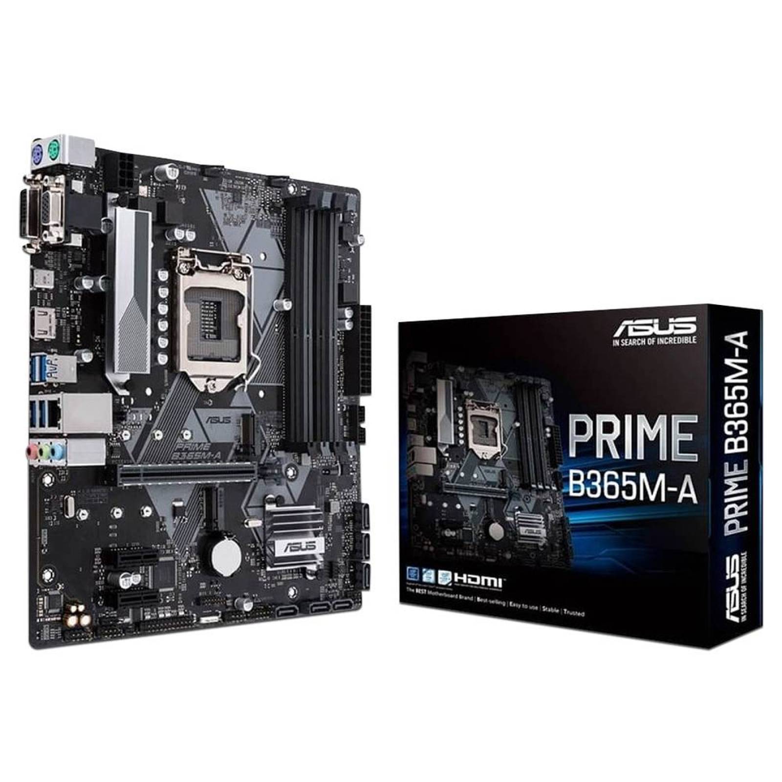 T. Madre ASUS PRIME-B365M-A, Chipset Intel B365, Soporta: