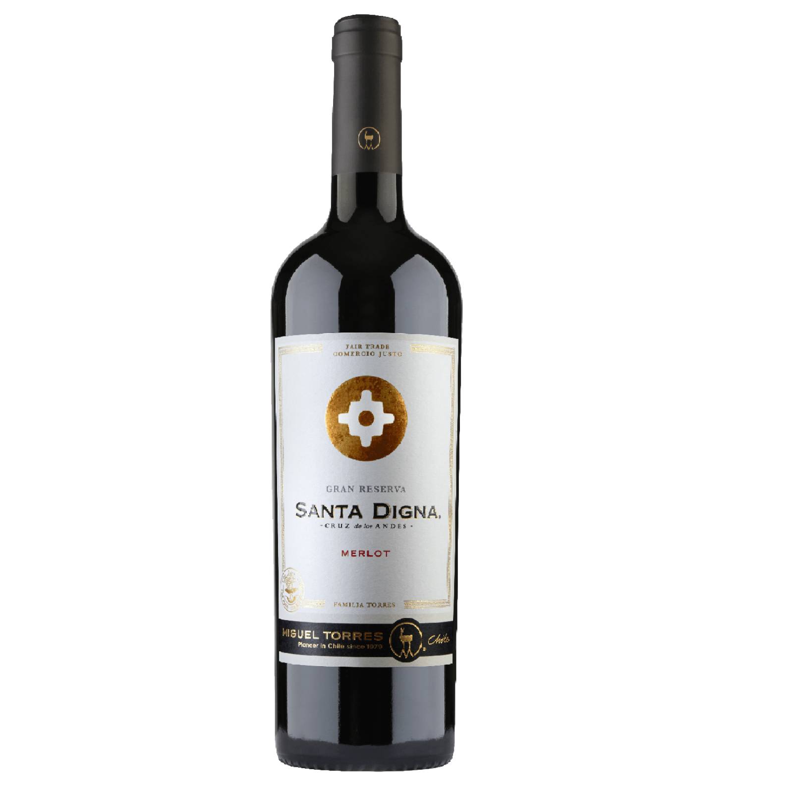Vino Tinto Torres Santa Digna Merlot 750 ml 