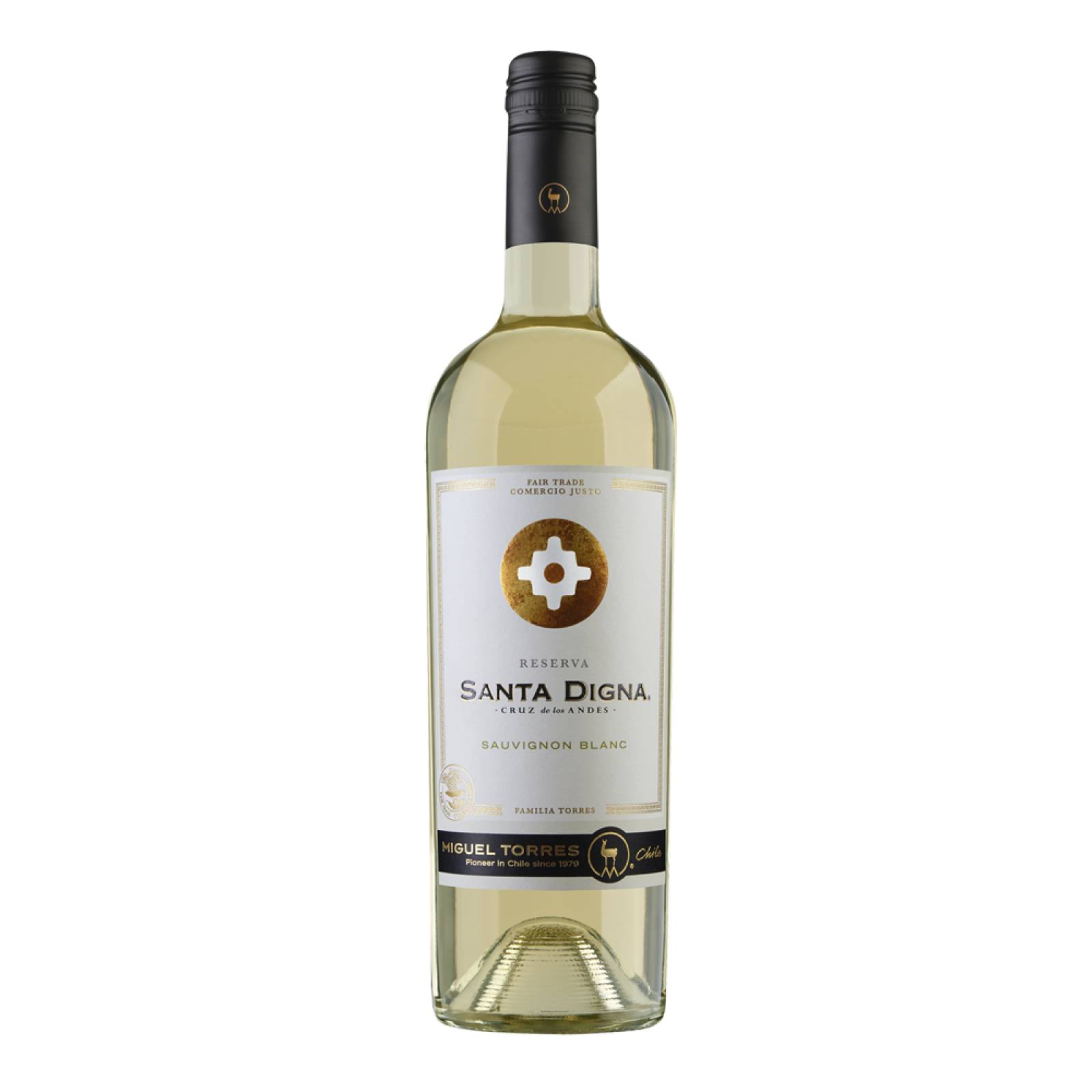 Caja de 12 Vino Blanco Torres Santa Digna Sauvignon Blanc 750 ml 