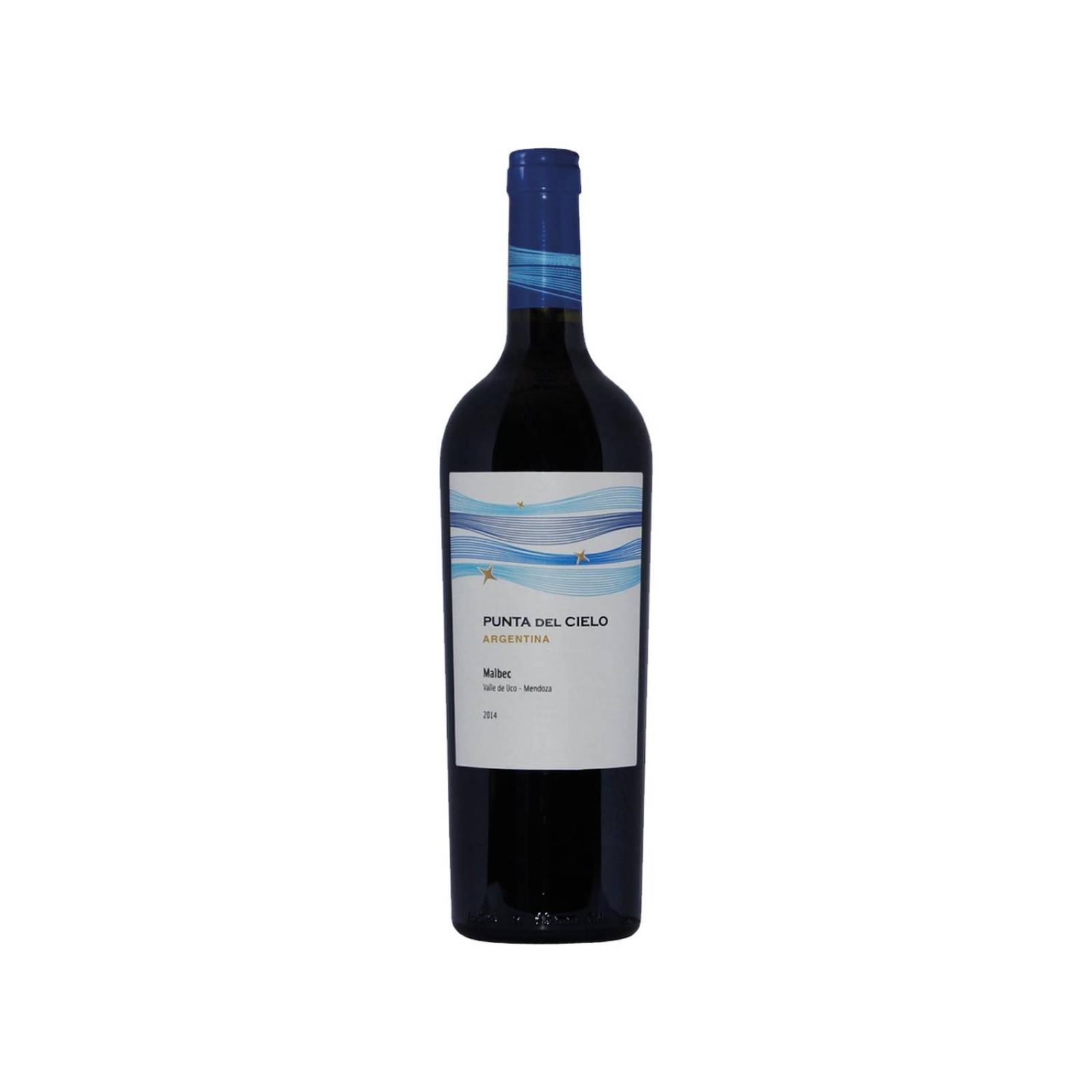 Caja de 12 Vino Tinto Punta del Cielo Malbec 750 ml 