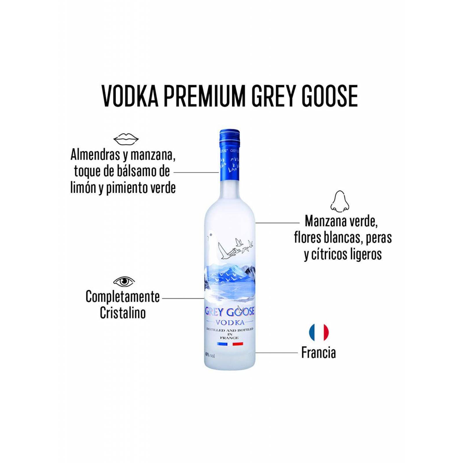 Pack de 6 Vodka Grey Goose 4.5 L 