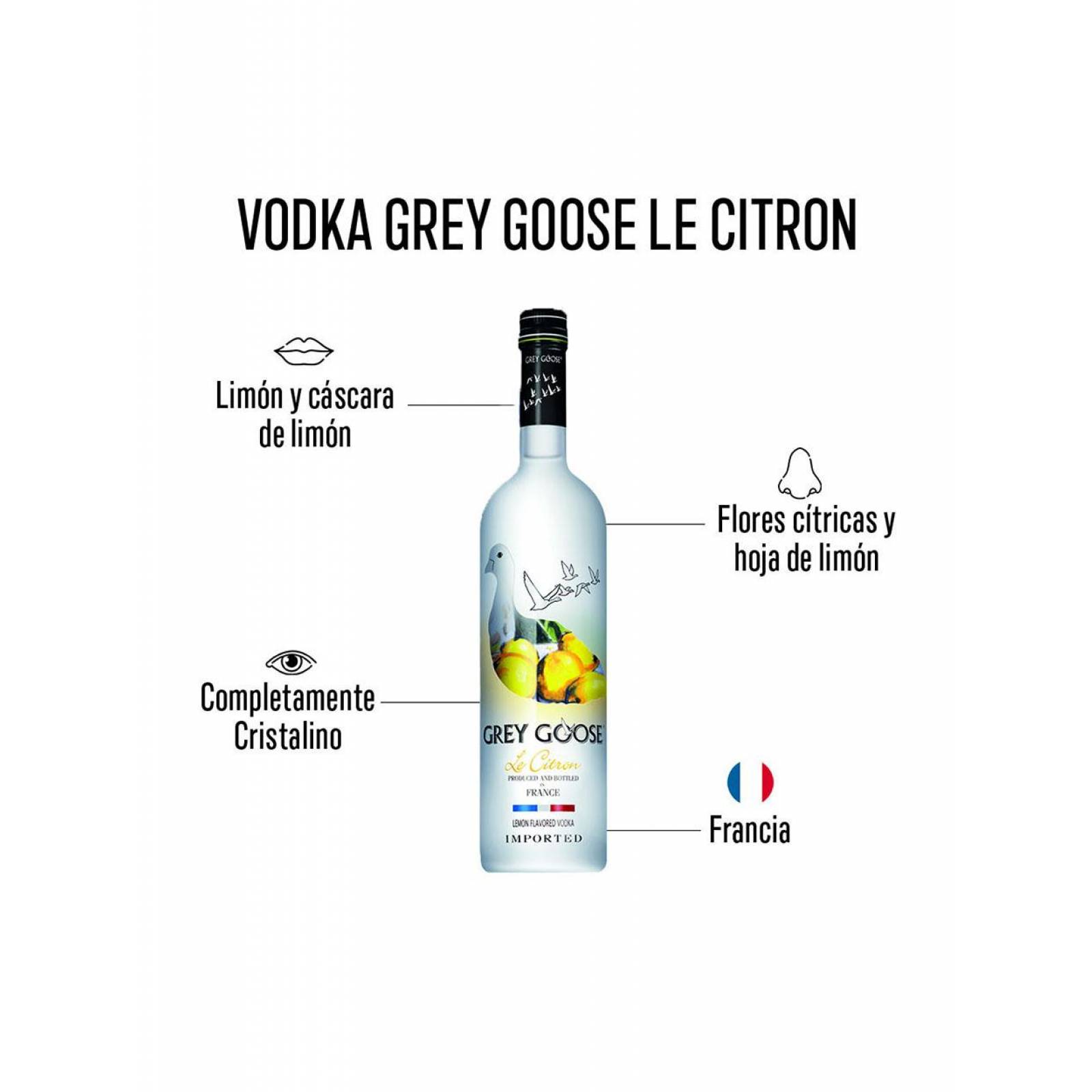 Pack de 2 Vodka Grey Goose Le Citron 750 ml 