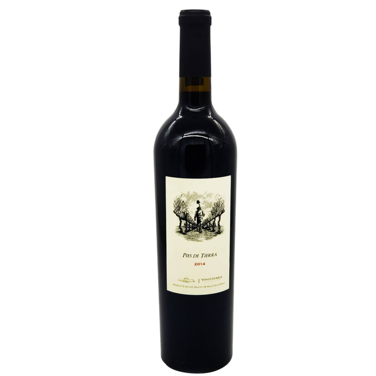 Pack de 6 Vino Tinto Vinisterra Pies De Tierra 750 ml 