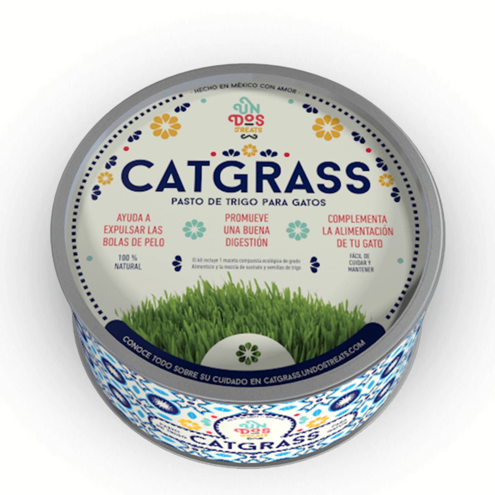 Catgrass para Gato UnDosTreats Pasto de Trigo Premio 
