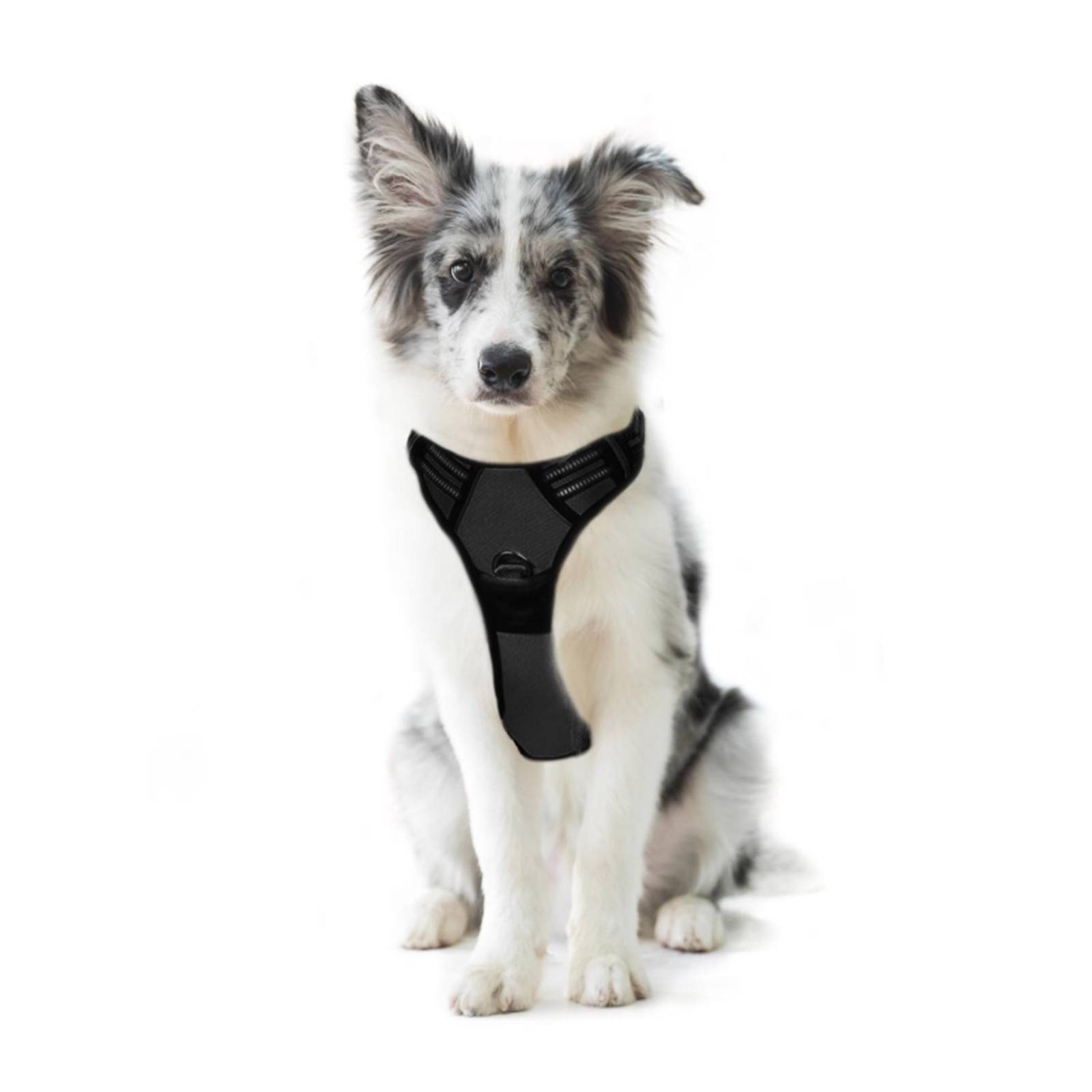 Pechera Mascretta Arnes para perro anti tirones 