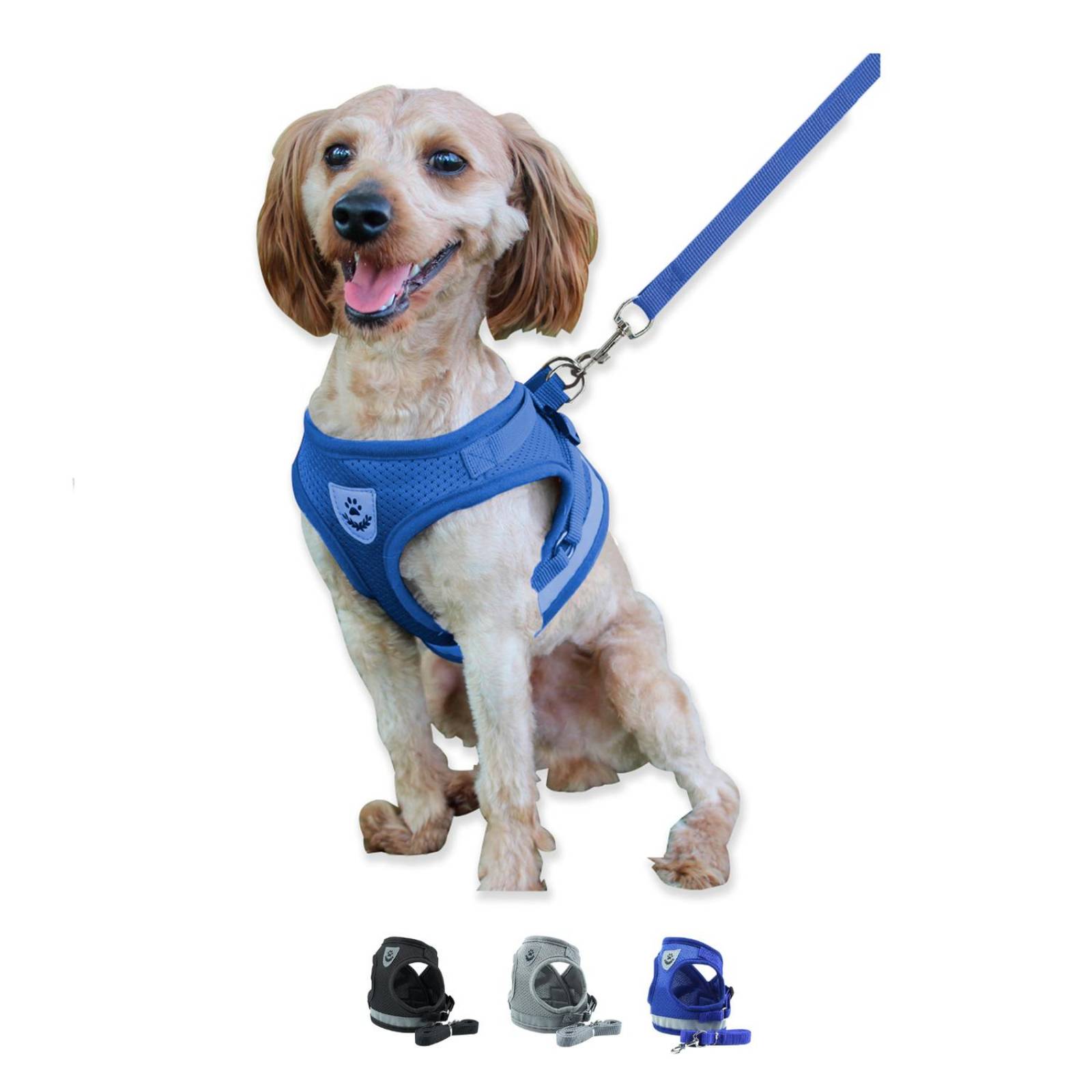 Set de Correa y Arnes Mascretta de tela para razas pequeñas 
