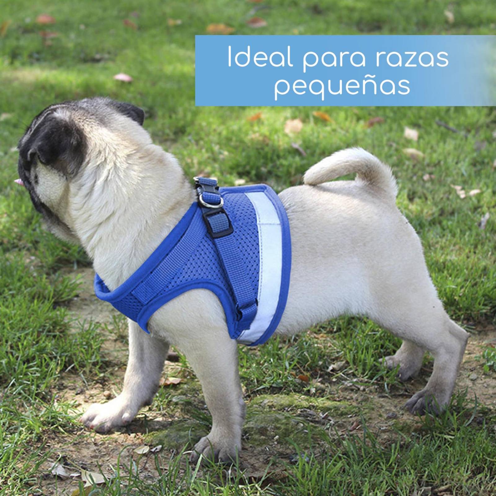 Set de Correa y Arnes Mascretta de tela para razas pequeñas 