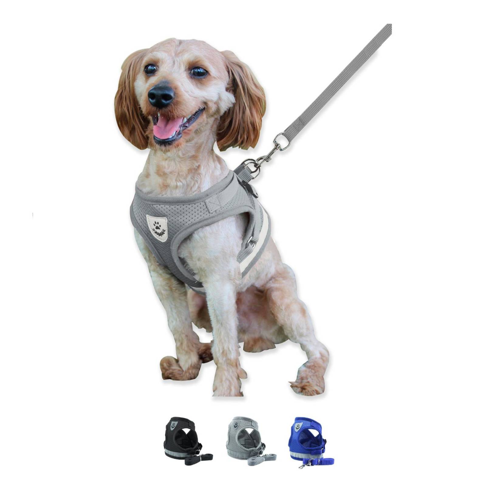 Set de Correa y Arnes Mascretta de tela para razas pequeñas 