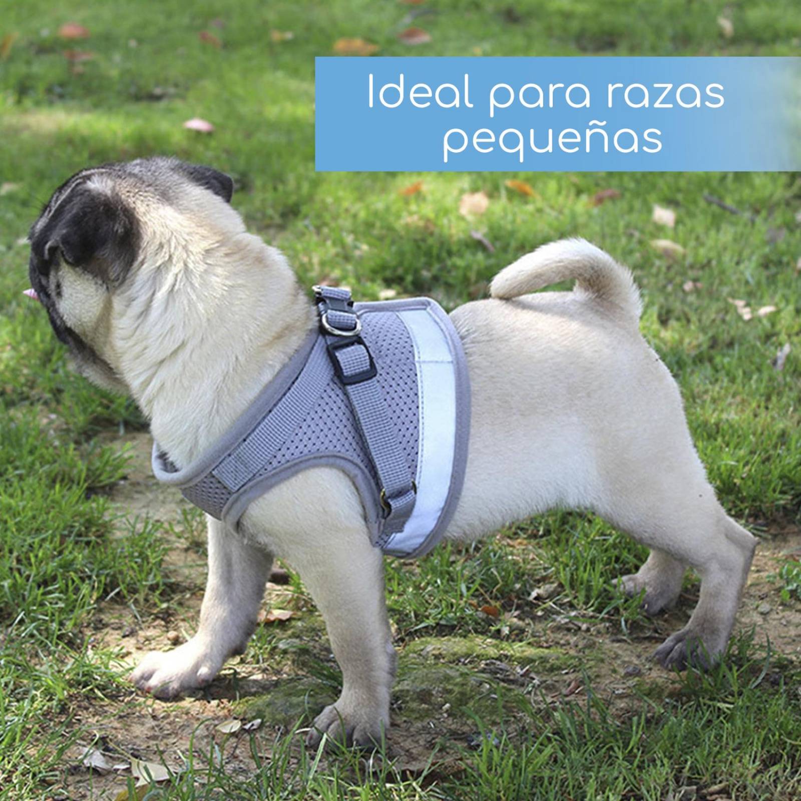 Set de Correa y Arnes Mascretta de tela para razas pequeñas 