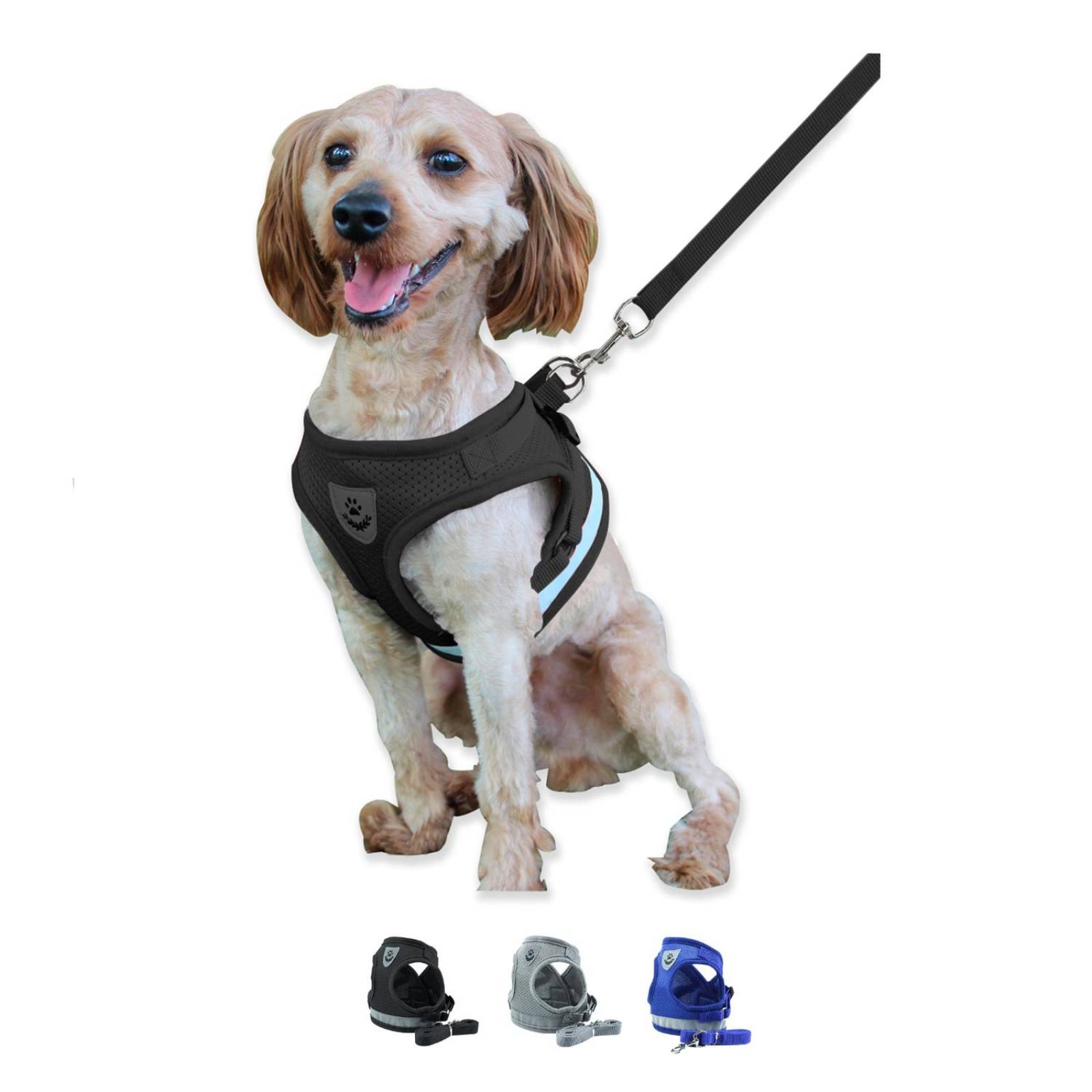 Set de Correa y Arnes Mascretta de tela para razas pequeñas 