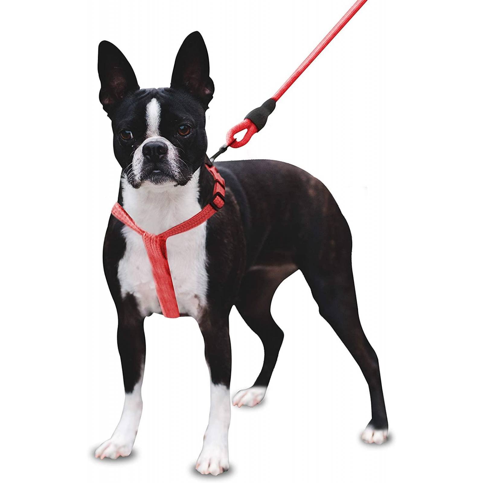 Arnés y Correa Mascretta para Perro 