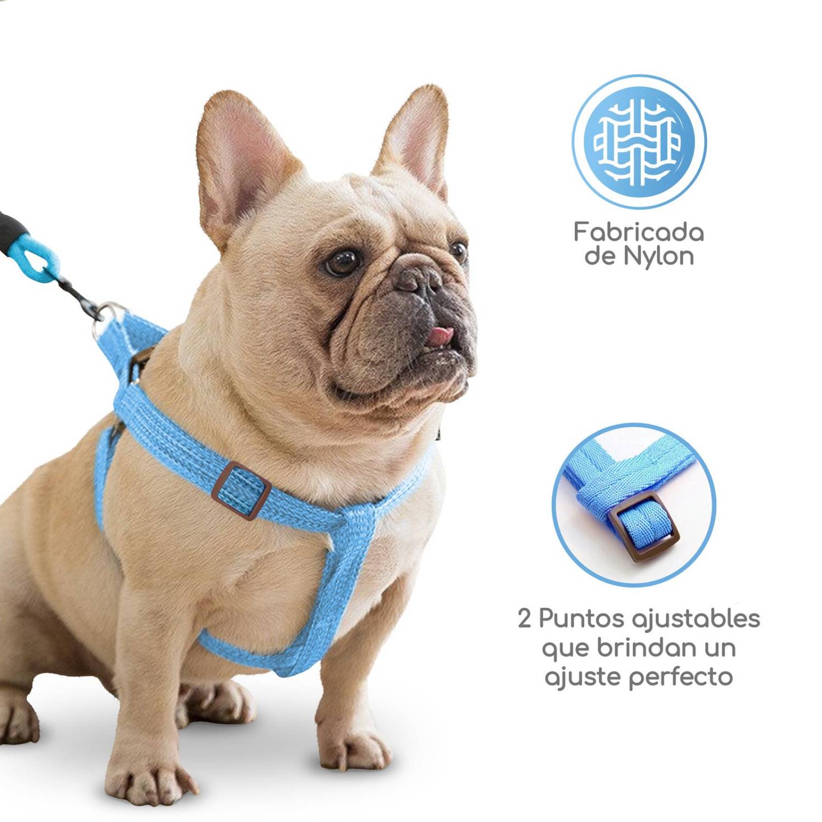 Arnés y Correa Mascretta para Perro 