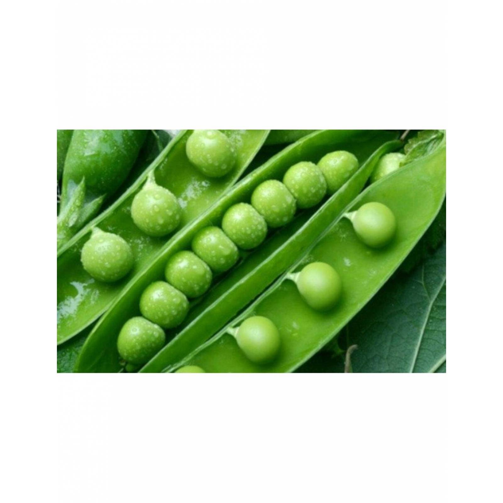 Pack de 24 Chicharos Herdez lata de 400 gr 