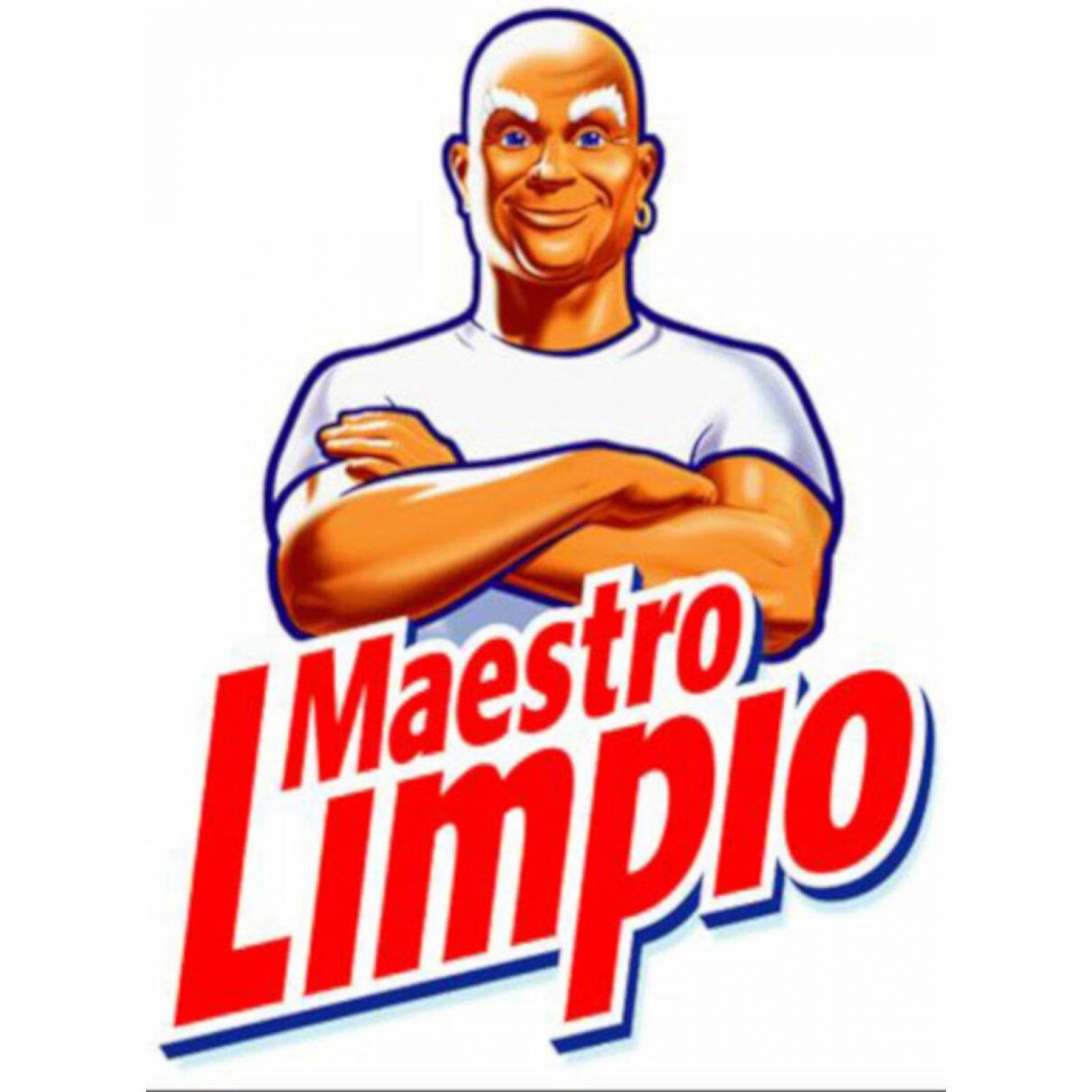 Pack de 32 Detergentes Polvo Maestro Limpio Multiusos 250 gr 