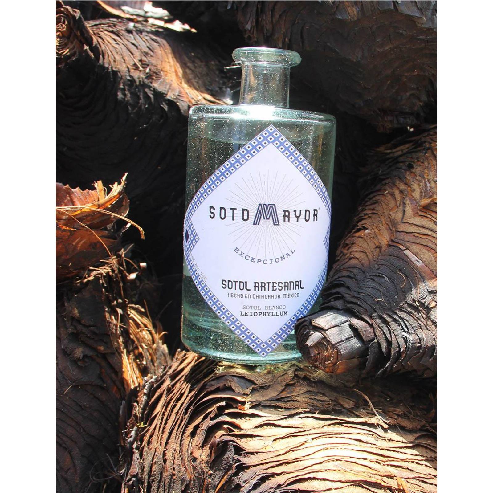Sotol Sotomayor Leiophyllum Blanco 750ml 44 