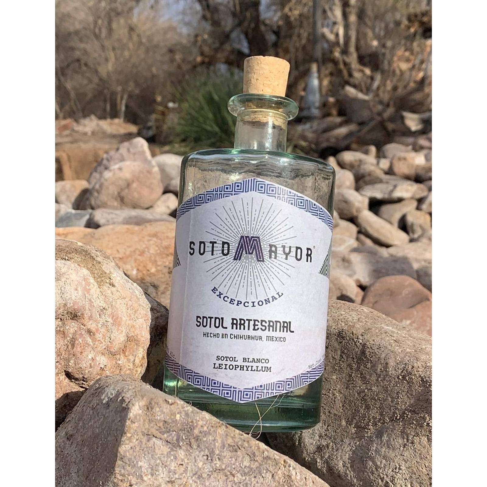 Sotol Sotomayor Leiophyllum Blanco 750ml 44 