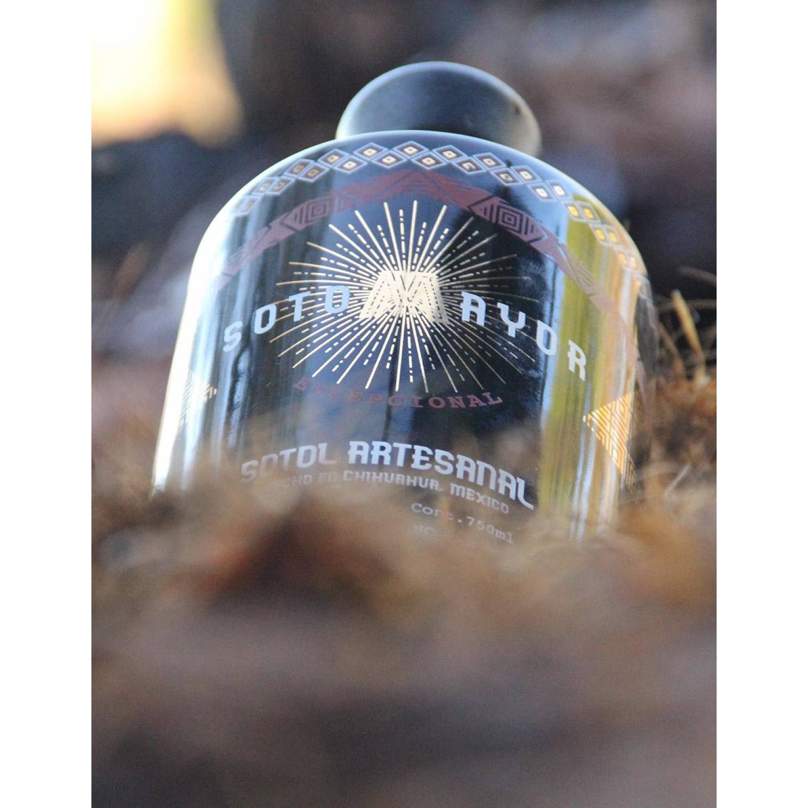 Sotol Sotomayor Texanum Blanco 750ml 48 