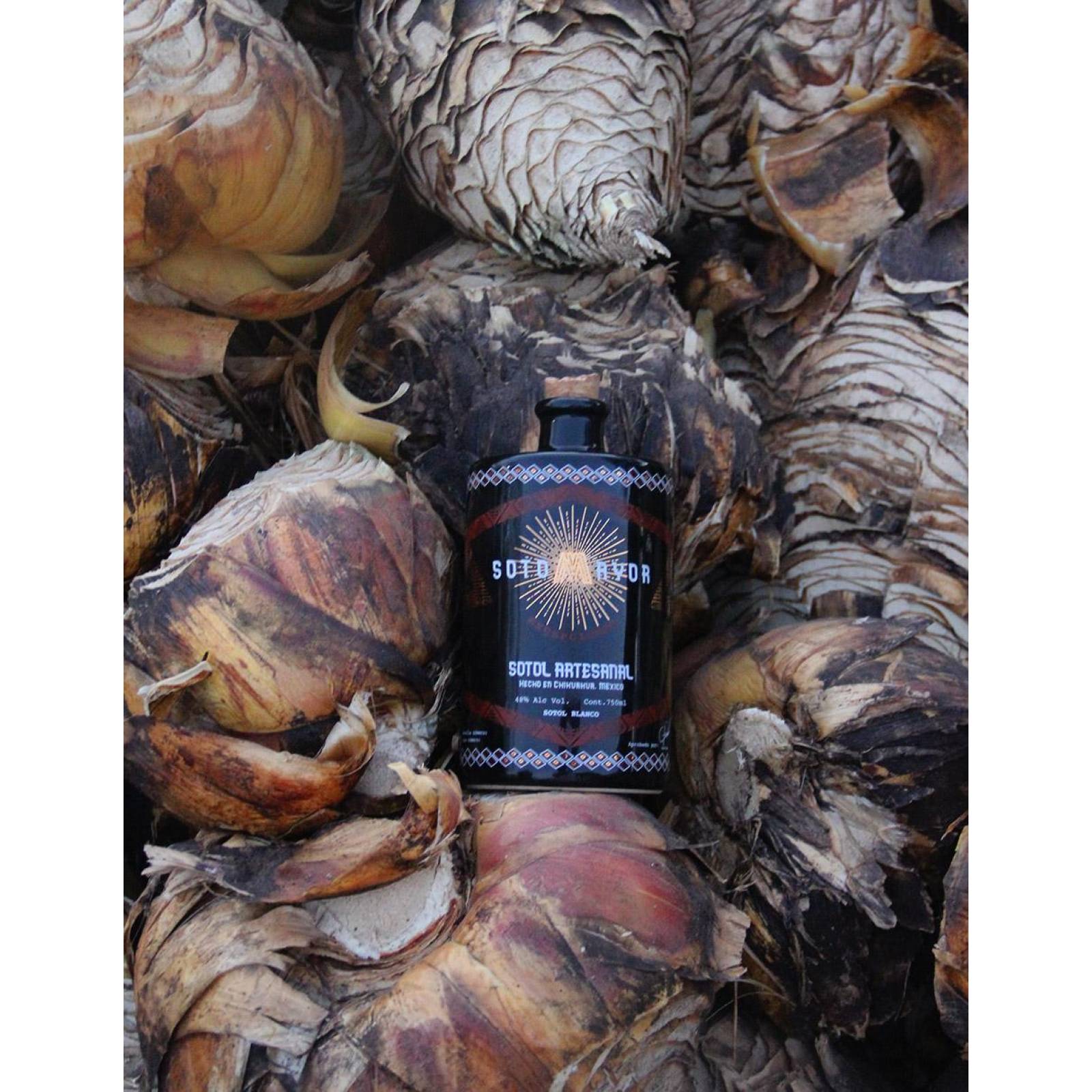 Sotol Sotomayor Texanum Blanco 750ml 48 