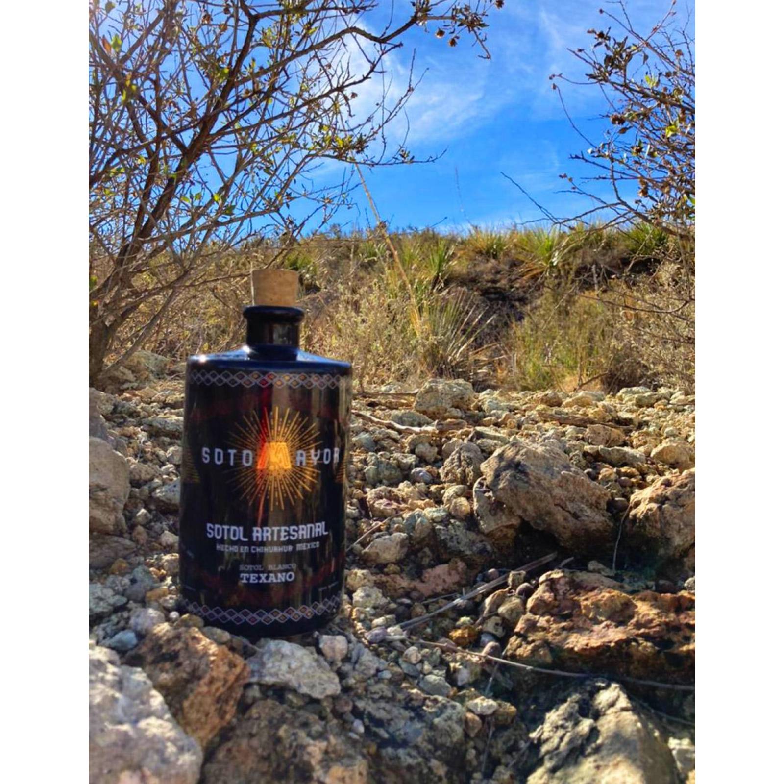 Sotol Sotomayor Texanum Blanco 750ml 48 