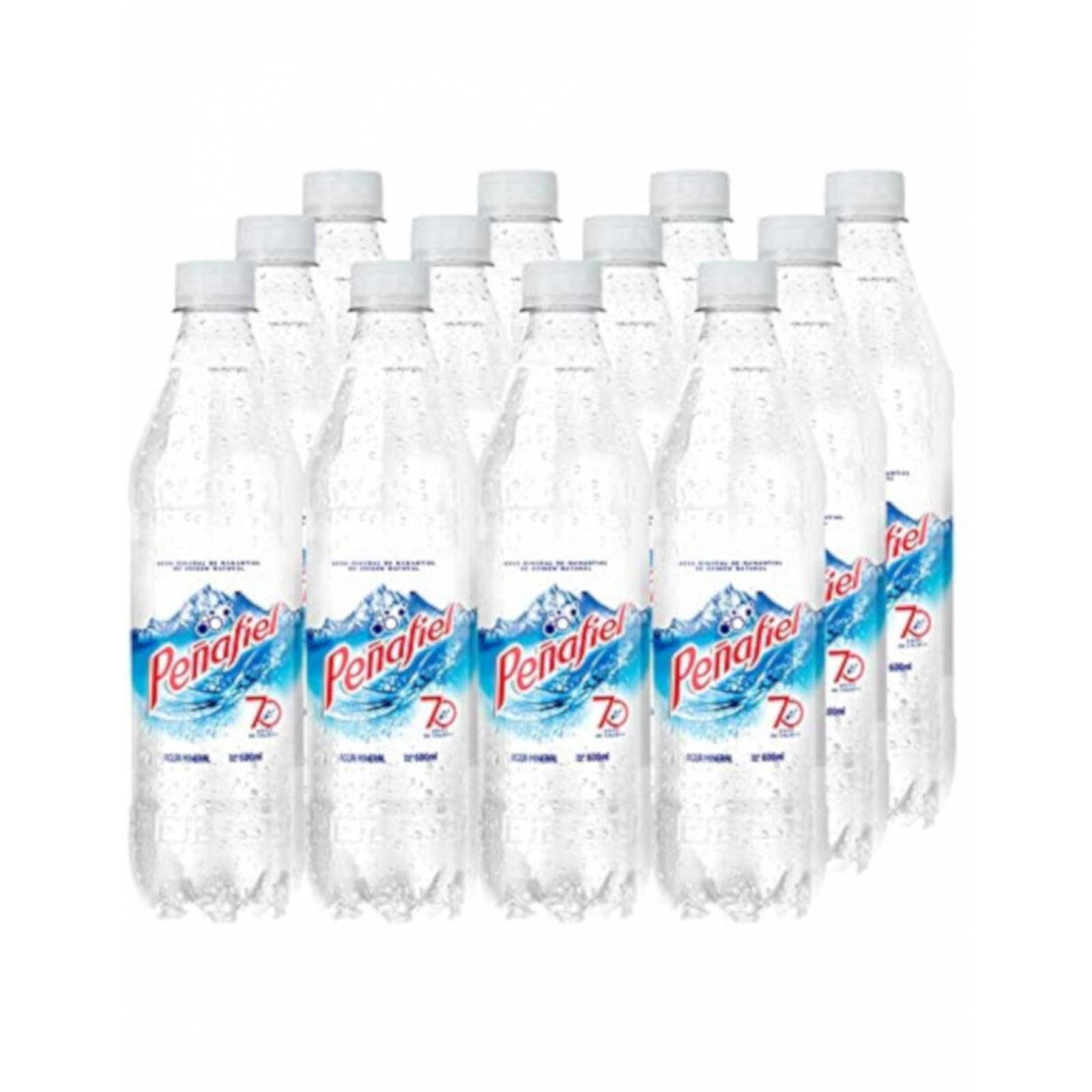 Pack de 12 Agua Mineral Peñafiel 600 ml 