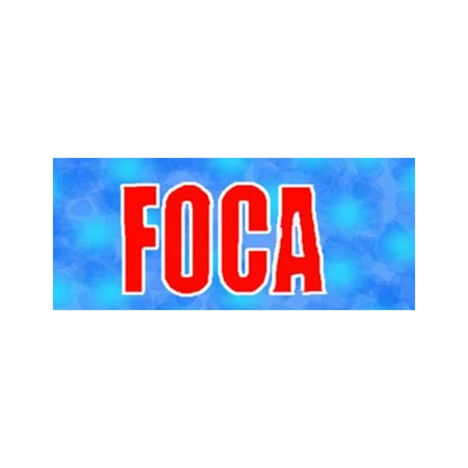 Pack de 10 Detergentes foca de 1kg 