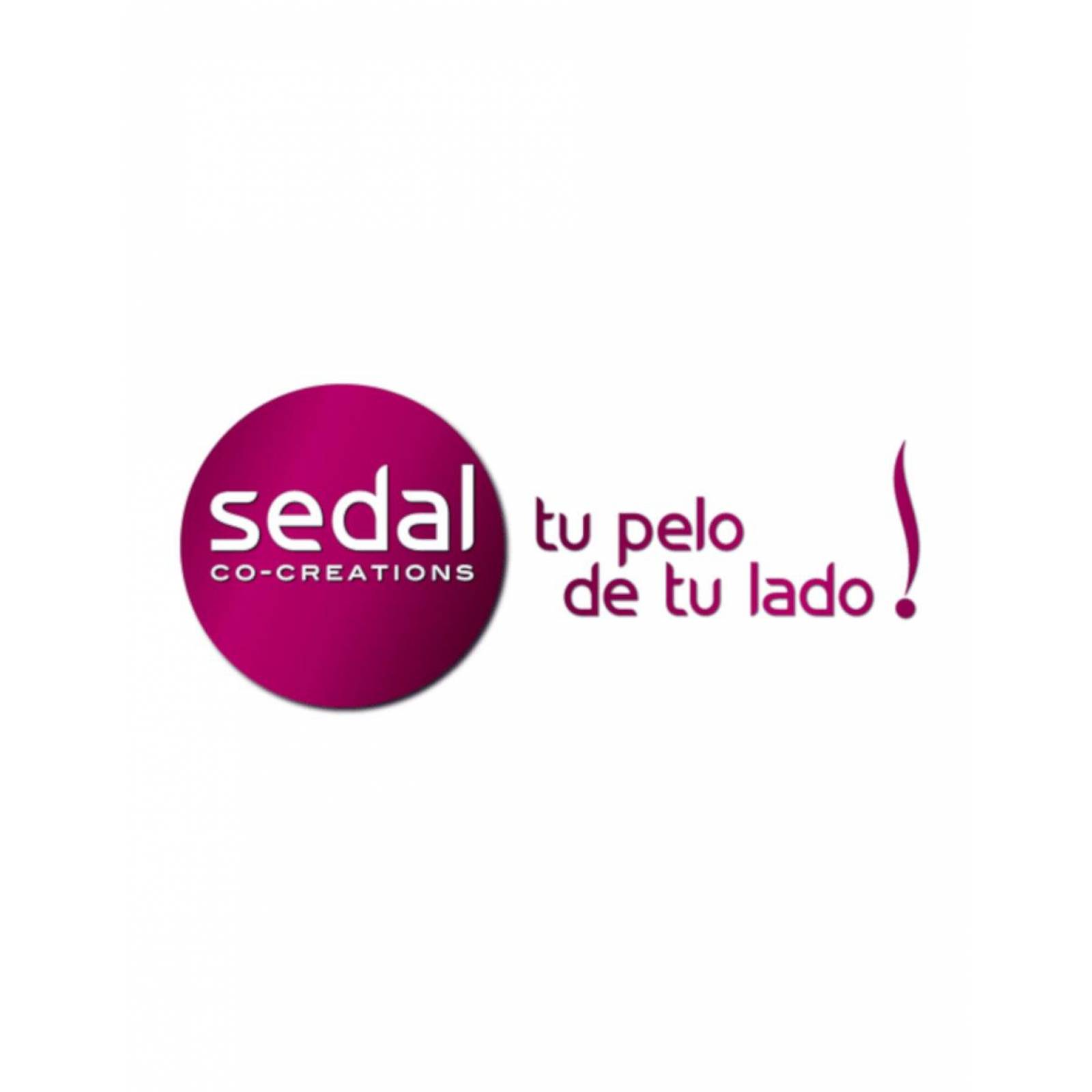 Pack de 12 Shampoo Sedal Rizos Definidos 340 ml 